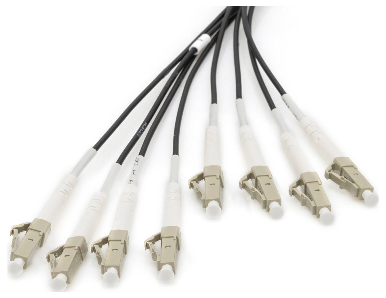 Digitus DK-24338U075BK-BBB Glasfaser LWL Anschlusskabel 75 m Schwarz [8x LC/UPC-Stecker - 8x LC/UPC-Stecker] 50/125 µ Multimode OM4