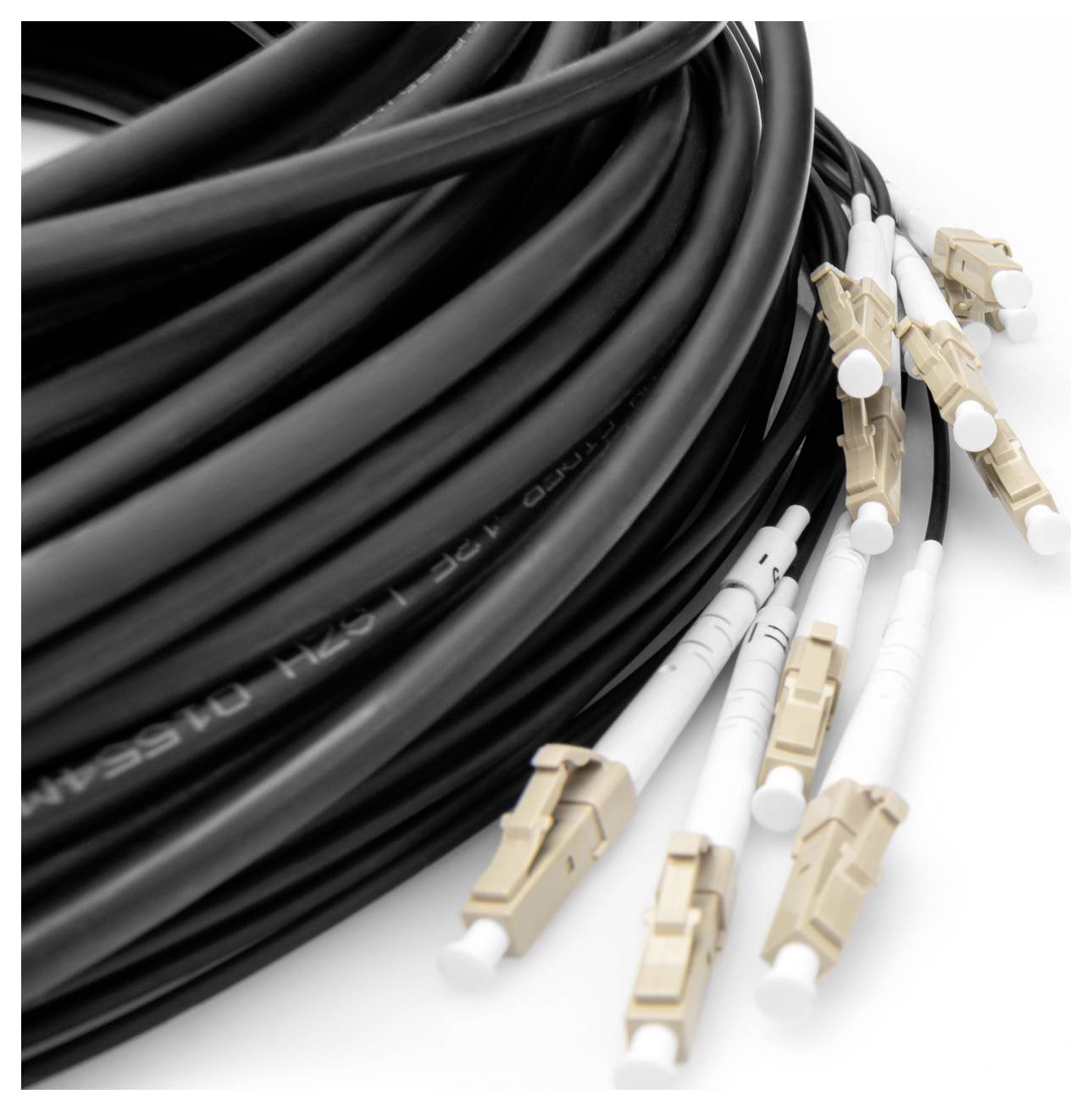 Digitus DK-2433CU030BK-BBB Glasfaser LWL Anschlusskabel 30m Schwarz [12x LC/UPC-Stecker - 12x LC/UPC-Stecker] 50/125 µ Multimode