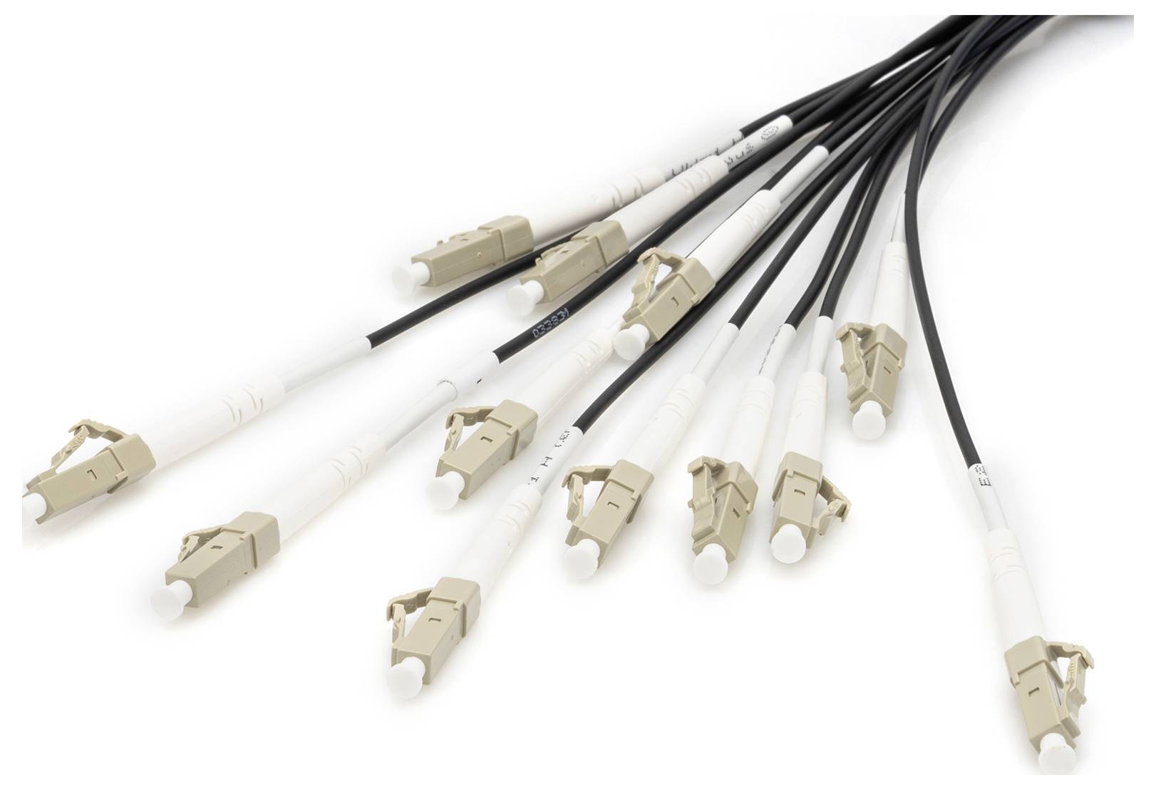 Digitus DK-2433CU050BK-BBB Glasfaser LWL Anschlusskabel 50 m Schwarz [12x LC/UPC-Stecker - 12x LC/UPC-Stecker] 50/125 µ Multimode OM4