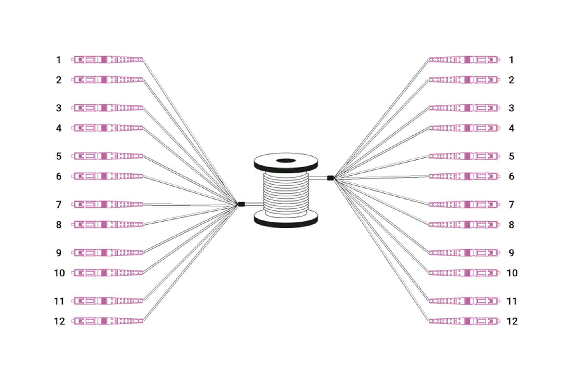 Digitus DK-2433CU100BK-BBB Glasfaser LWL Anschlusskabel 100m Schwarz [12x LC/UPC-Stecker - 12x LC/UPC-Stecker] 50/125 µ Multimode