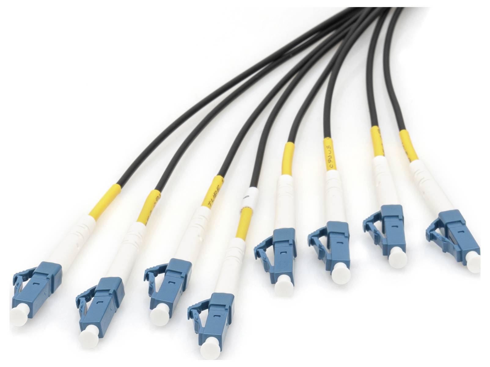 Digitus DK-2A338U030BK-BBB Glasfaser LWL Anschlusskabel 30m Schwarz [8x LC/UPC-Stecker - 8x LC/UPC-Stecker] 9/125 µ Singlemode OS2