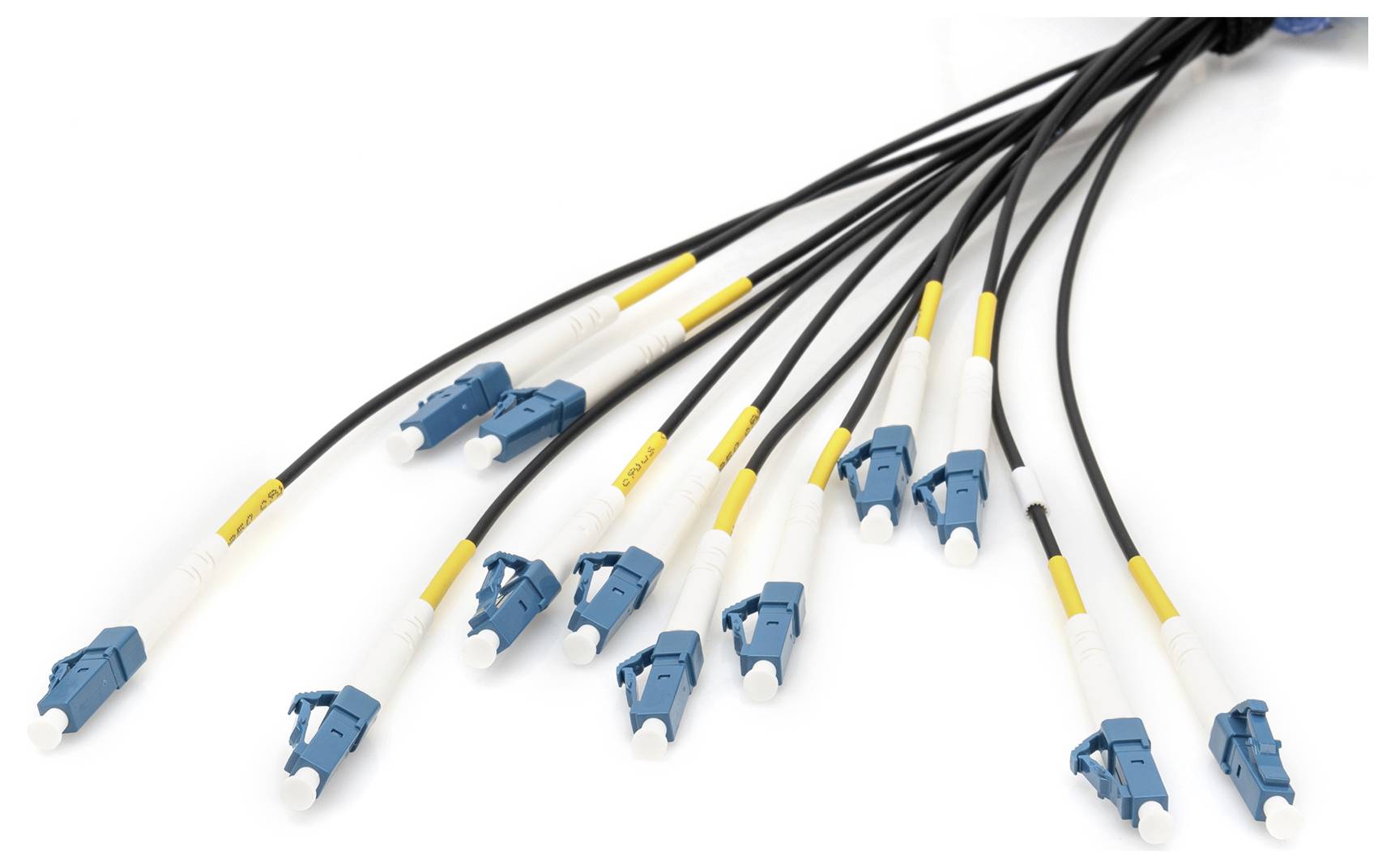 Digitus DK-2A33CU100BK-BBB Glasfaser LWL Anschlusskabel 100m Schwarz [12x LC/UPC-Stecker - 12x LC/UPC-Stecker] 9/125 µ Singlemode