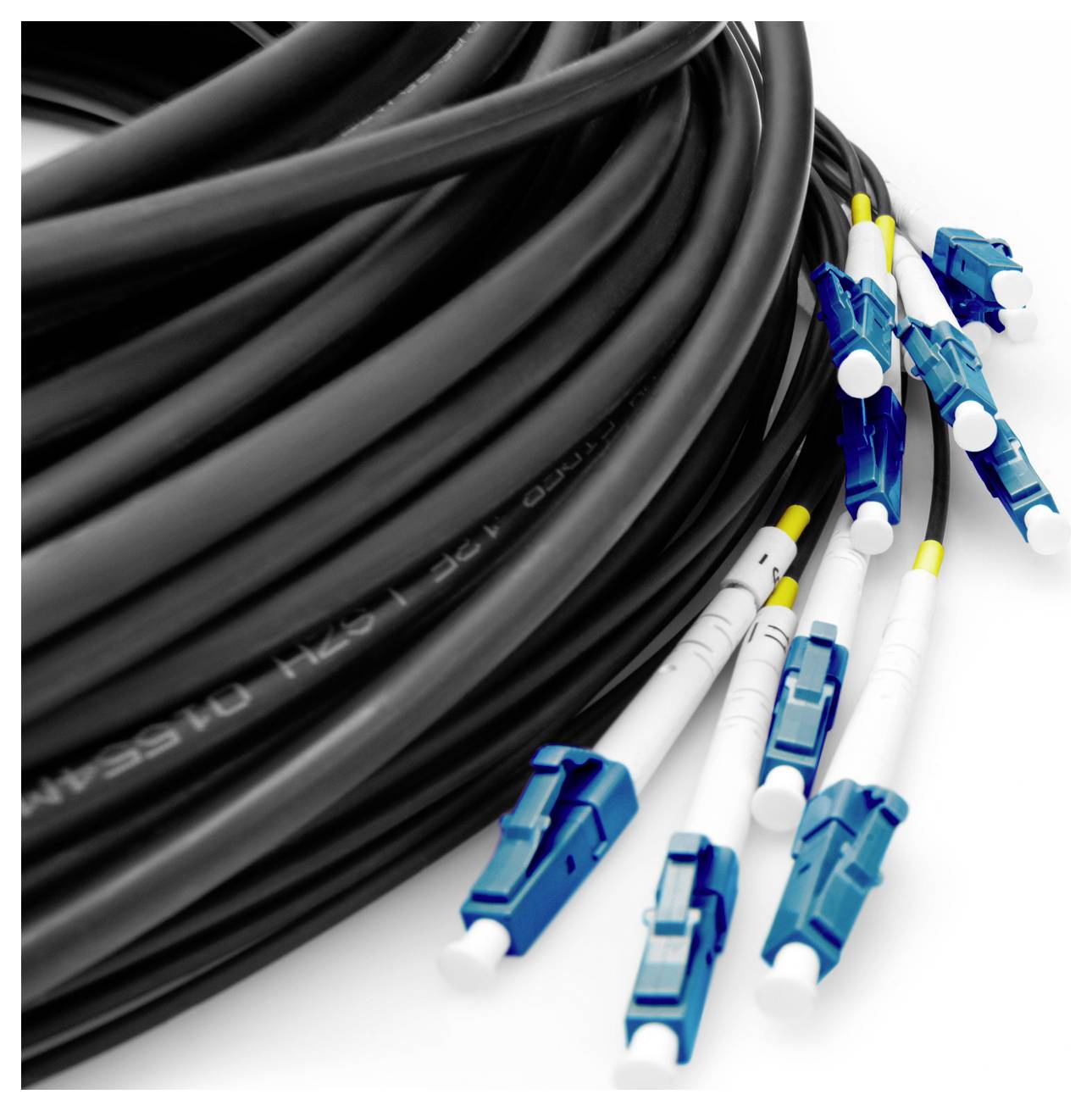 Digitus DK-2A33CUE50BK-BBB Glasfaser LWL Anschlusskabel 150 m Schwarz [12x LC/UPC-Stecker - 12x LC/UPC-Stecker] 9/125 µ Singlemode OS2