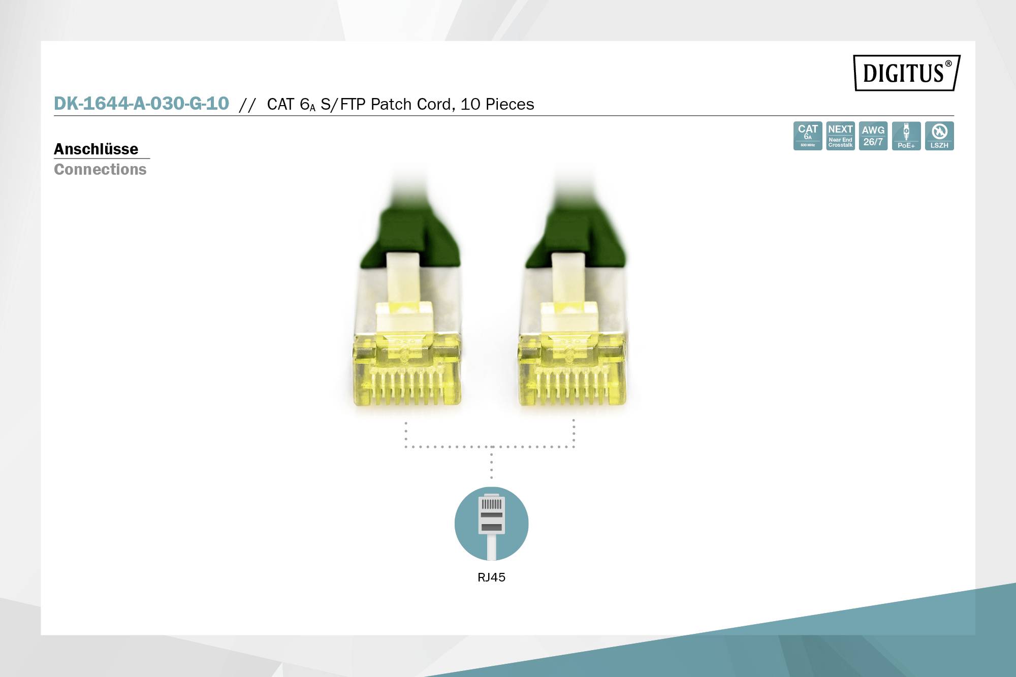 Ein Bild zeigt zwei CAT 6 RJ45 Stecker im Nahbereich mit der Aufschrift 'Anschlüsse'.