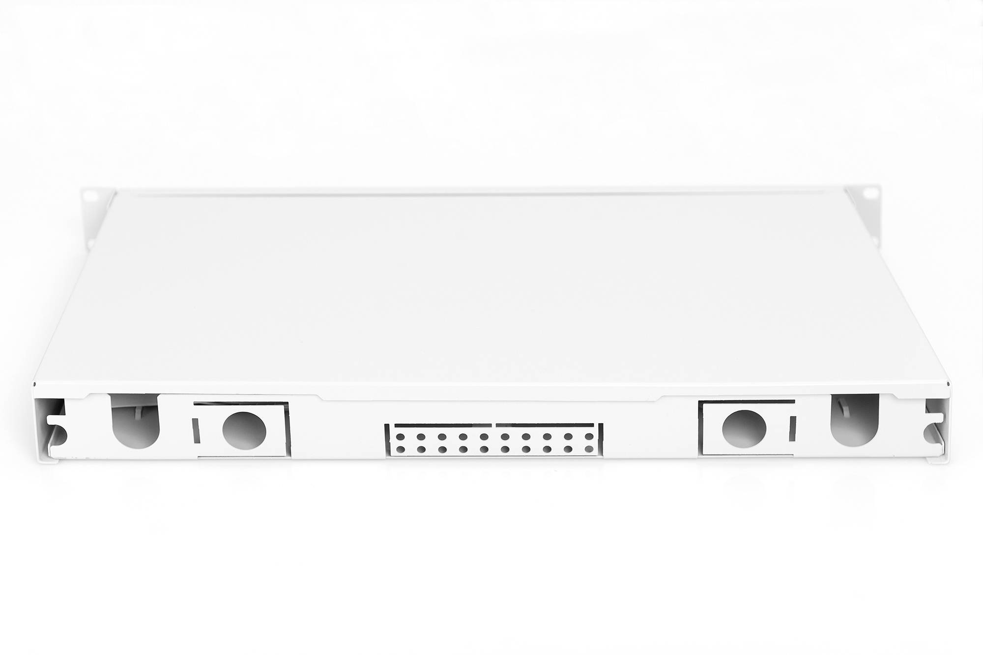 Ein weißes 1HE-Rackmount-Gehäuse mit zwei seitlichen Lüfteröffnungen und mehreren Anschlüssen in der Mitte.