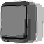 REV complet Bouton-poussoir AquaStorm gris clair, noir 0004310400