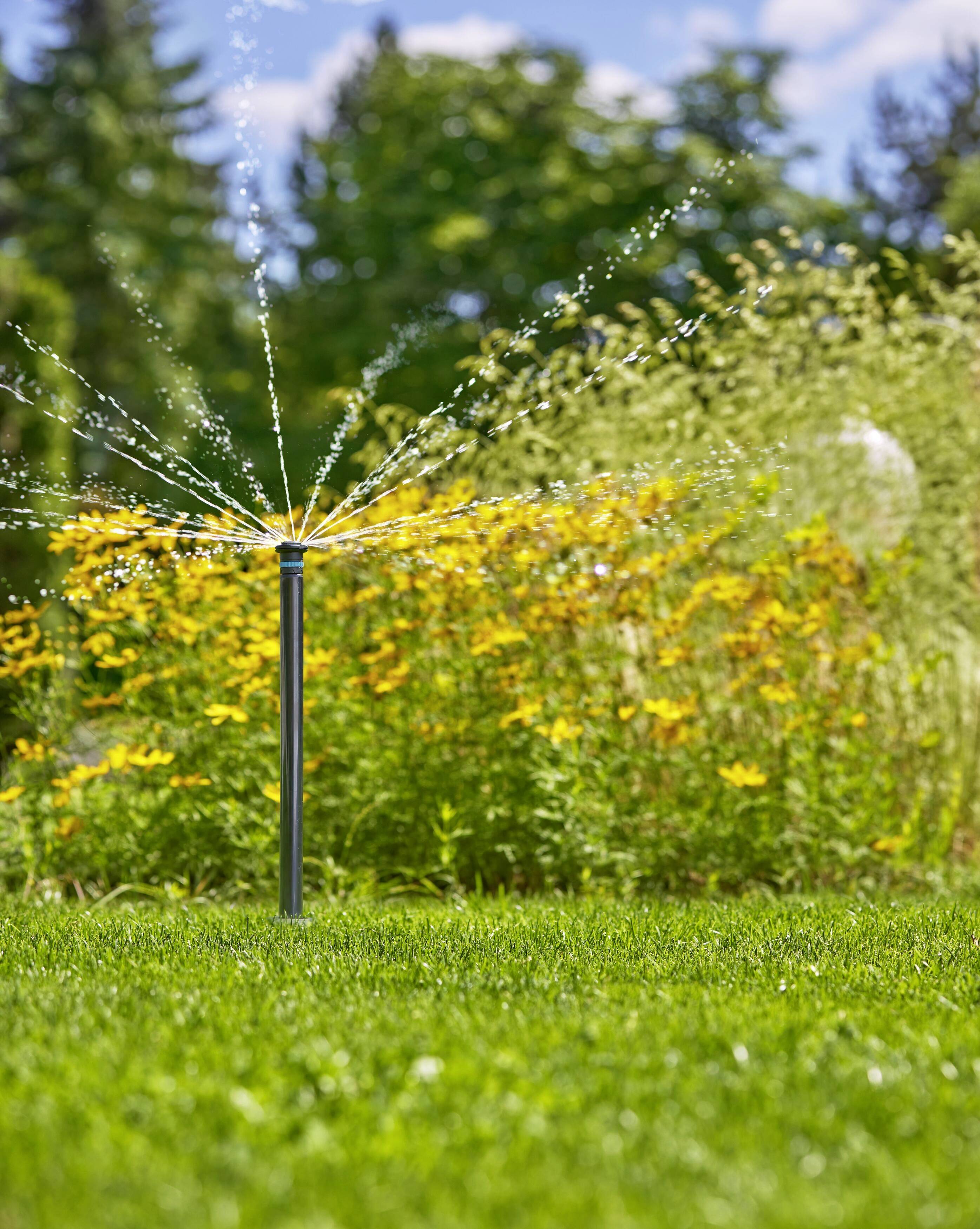 Rasenbewässerer mit Lüfterform verteilt Wasserstrahlen auf grünem Rasen, im Hintergrund gelbe Blumen und Bäume bei sonnigem Wetter.