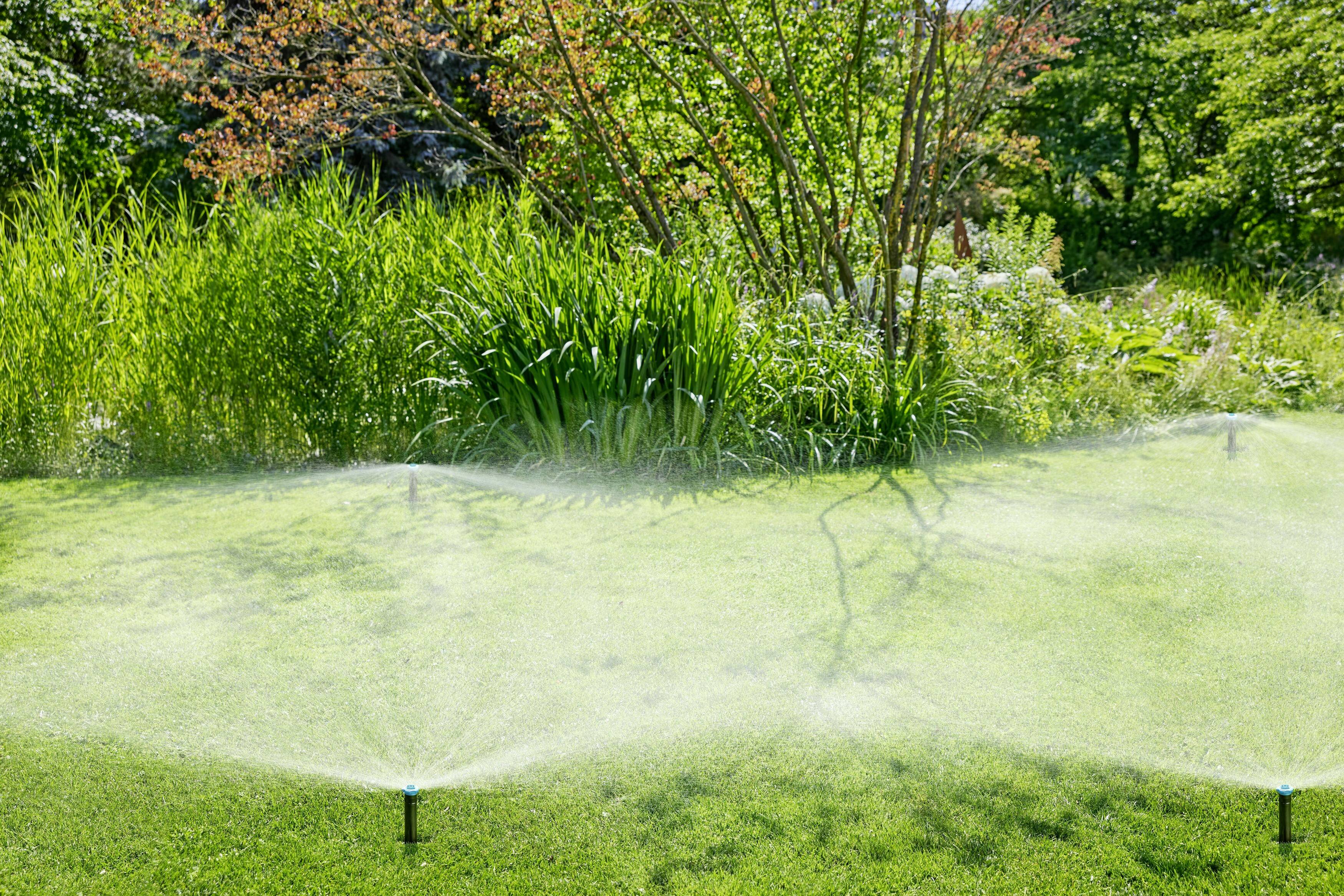 Ein grüner Garten wird von zwei Rasensprinklern bewässert. Im Hintergrund sind dichte Büsche und Bäume zu sehen.