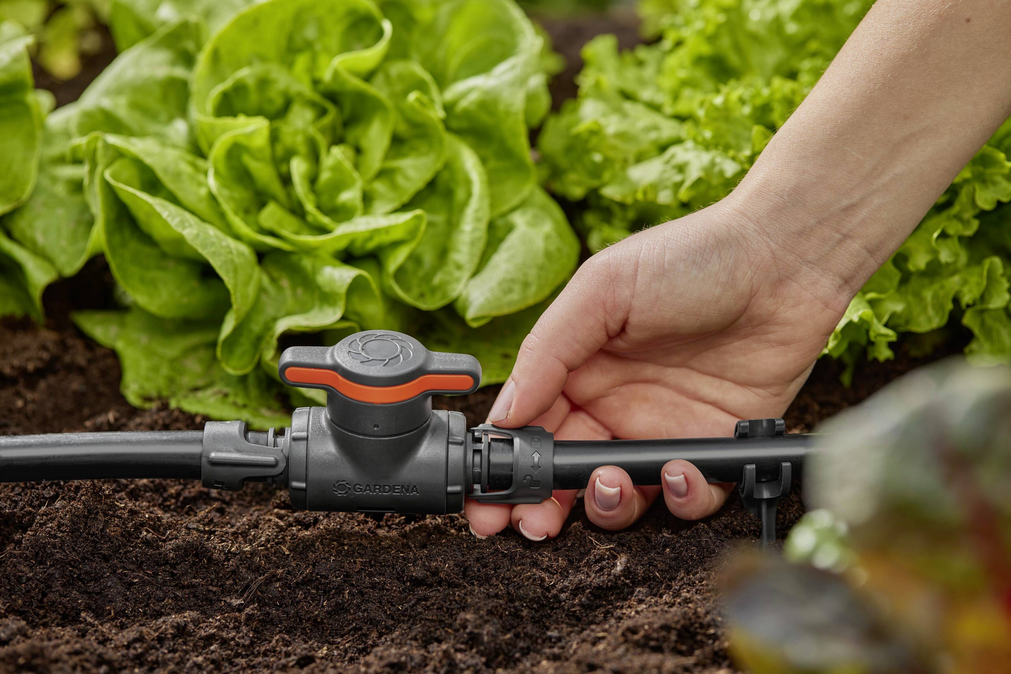 Eine Hand dreht einen Bewässerungsventil in einem Garten mit Salatpflanzen im Hintergrund, um den Wasserfluss zu regulieren.