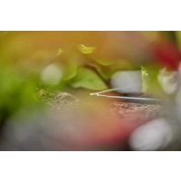 GARDENA Micro-Drip System L-Stück 4,6mm (3/16") 13212-20 GARDENA Micro-Drip System L-Stück 4,6mm (3/16") 13212-20