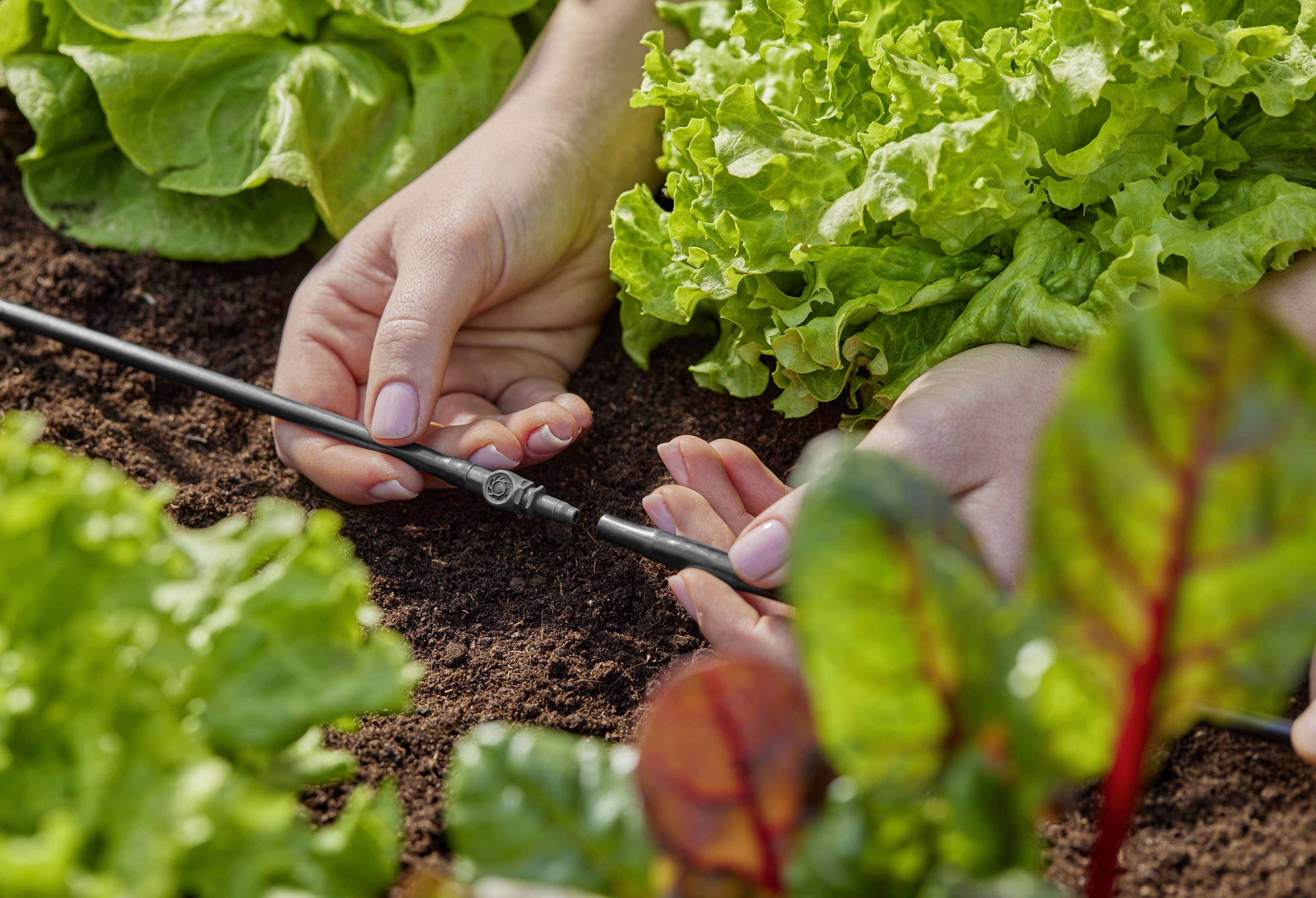 GARDENA Micro-Drip System Verbinder 4,6mm (3/16") 13213-20