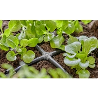 GARDENA Micro-Drip System Kreuzstück 4,6mm (3/16") 13214-20 GARDENA Micro-Drip System Kreuzstück 4,6mm (3/16") 13214-20