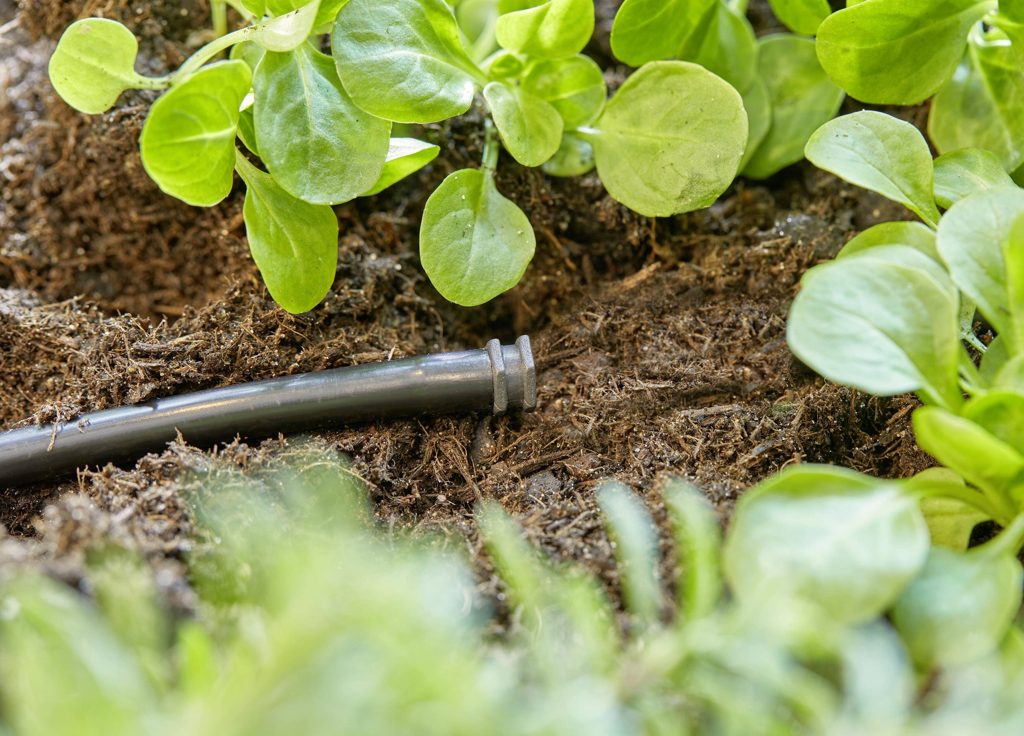 GARDENA Micro-Drip System Verschlussstopfen 4,6mm (3/16") 13215-20