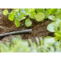 GARDENA Micro-Drip System Verschlussstopfen 4,6mm (3/16") 13215-20 GARDENA Micro-Drip System Verschlussstopfen 4,6mm (3/16") 13215-20