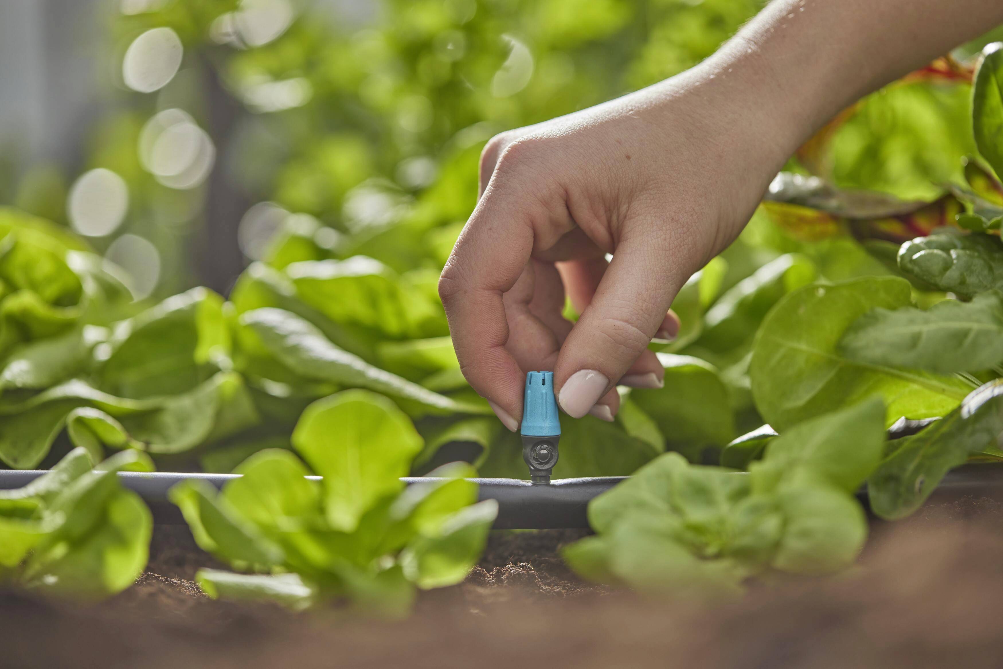 GARDENA Micro-Drip System Endkleinflächendüse 13mm (1/2") Ø 13306-20