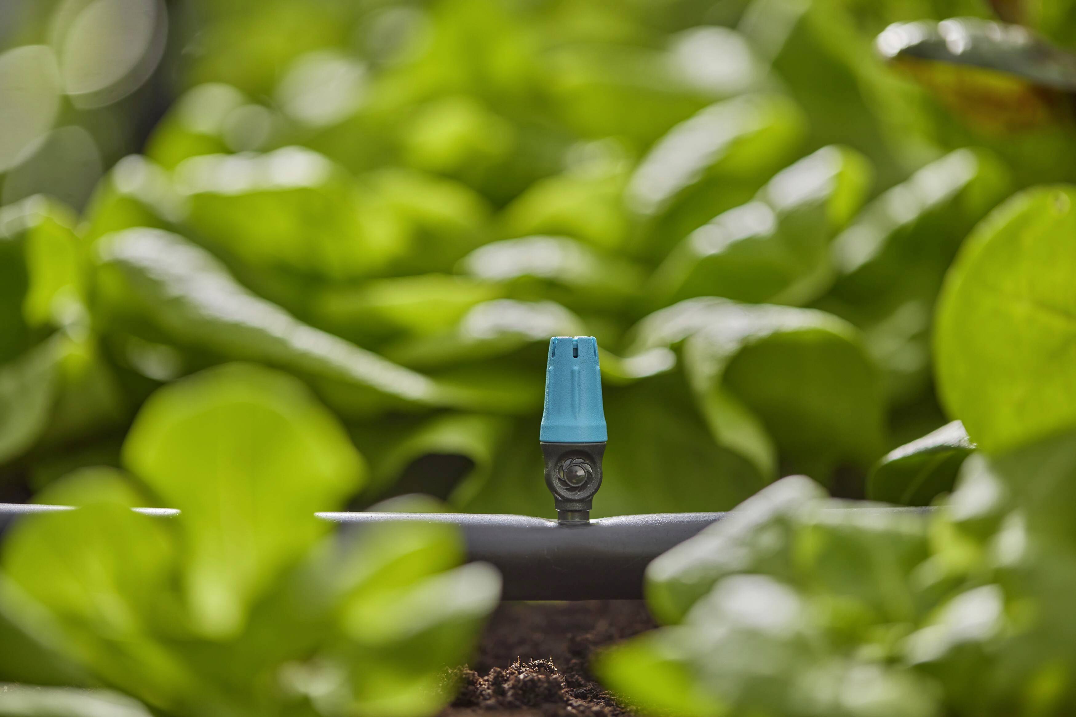 GARDENA Micro-Drip System Endkleinflächendüse 13mm (1/2") Ø 13306-20