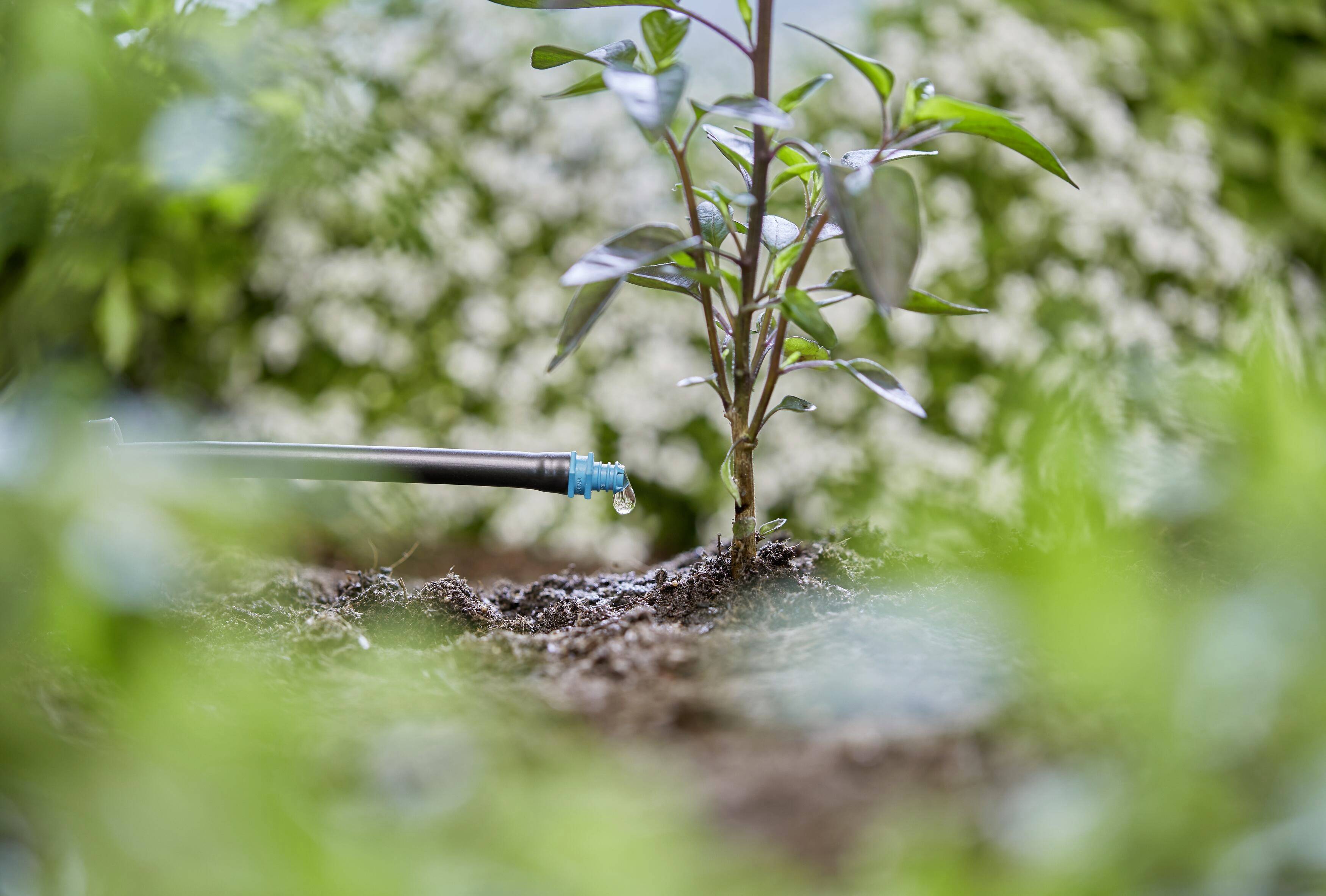 GARDENA Micro-Drip System Endtropfer 4,6mm (3/16") 13307-20