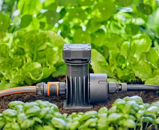 Ein Gartenbewässerungssystem mit einem Plastikventil und einem Schlauch inmitten grüner Pflanzen, das eine effiziente Bewässerungsanlage im Grünen hervorhebt.