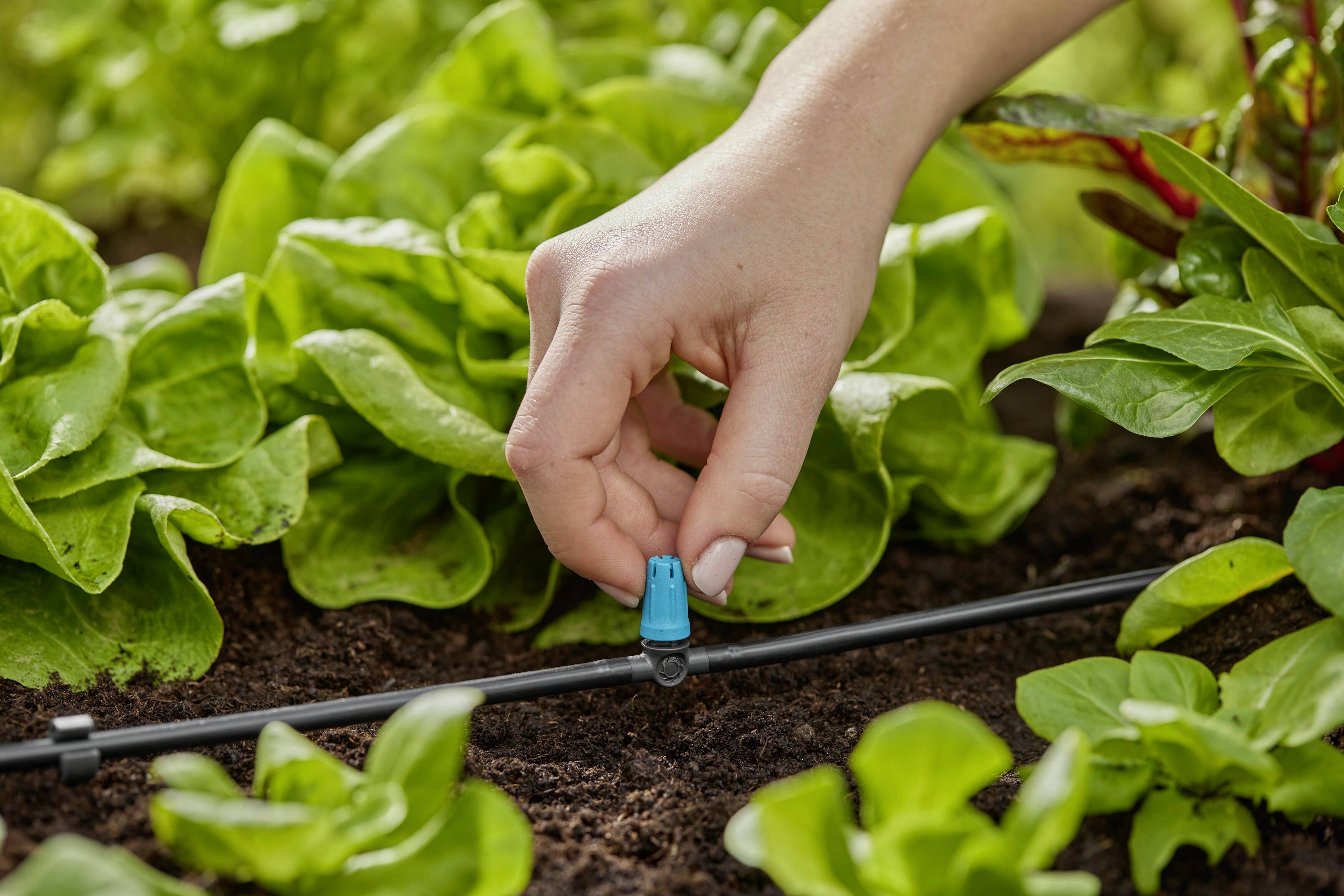 GARDENA Micro-Drip System 13316-20 Kleinflächendüse 4,6mm (3/16")