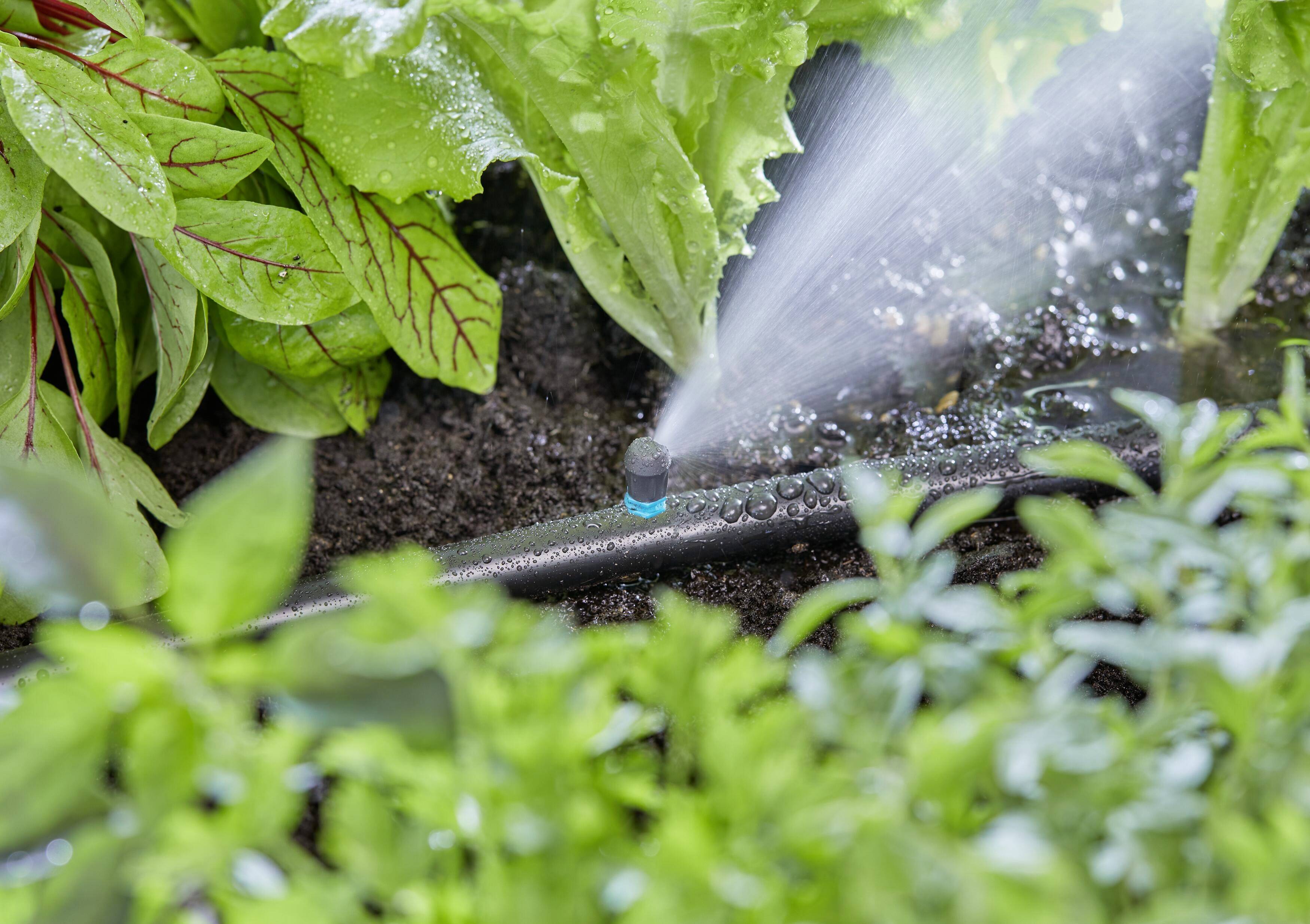 GARDENA Micro-Drip System 13318-20 Endstreifendüse 13mm (1/2") Ø