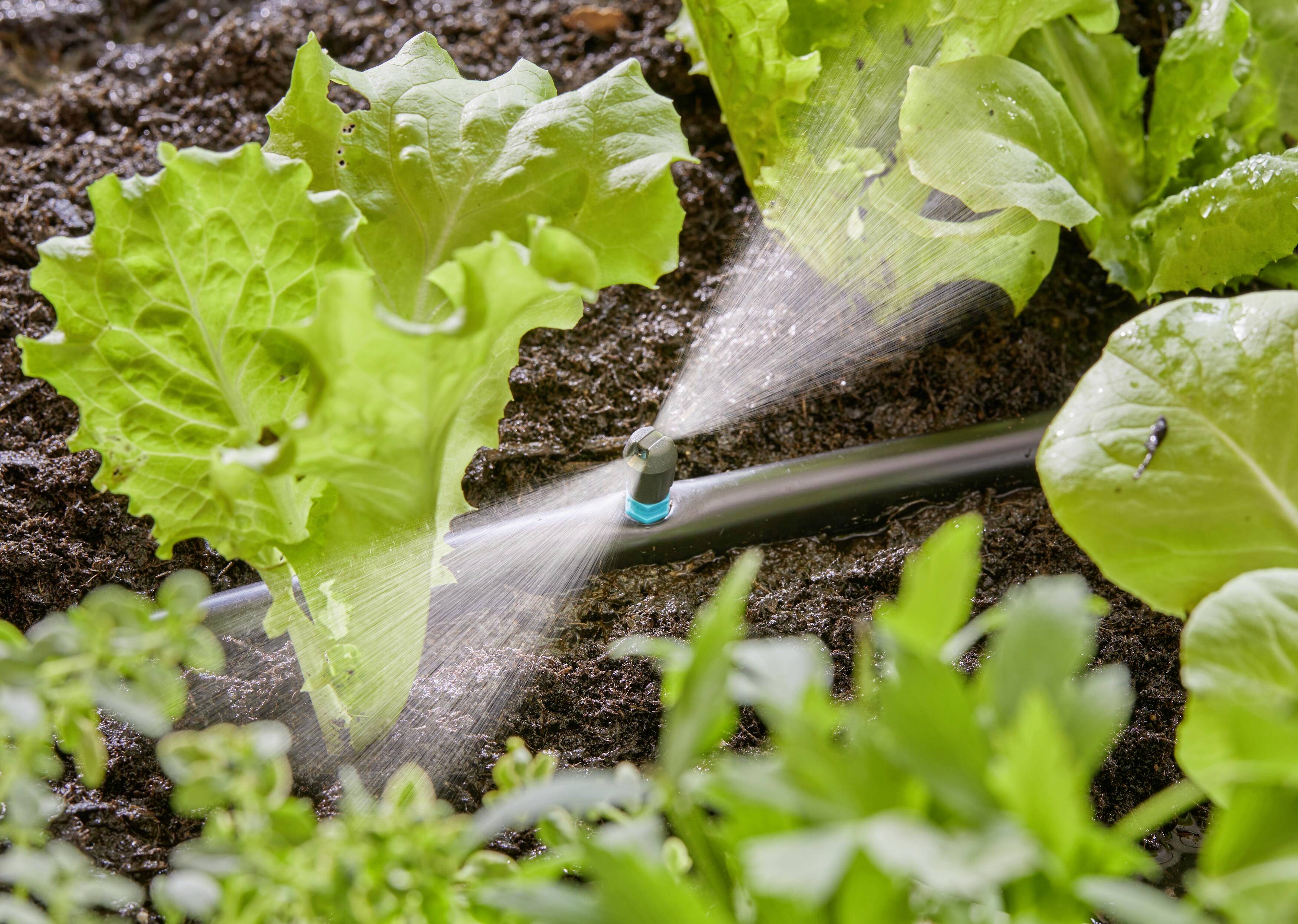 GARDENA Micro-Drip System Streifendüse 13mm (1/2") Ø 13319-20