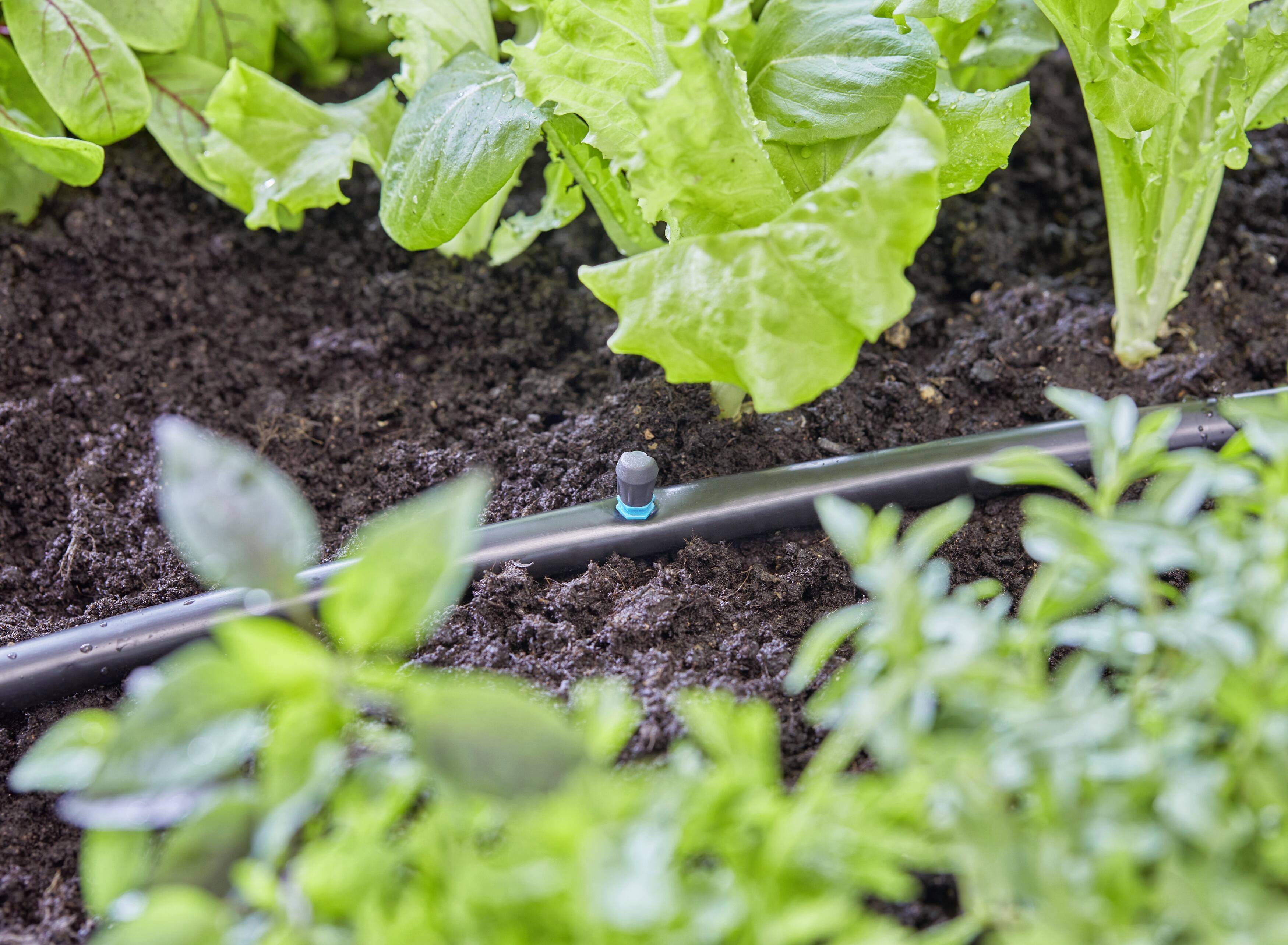GARDENA Micro-Drip System 13320-20 Sprühdüse 13 mm (1/2") Ø