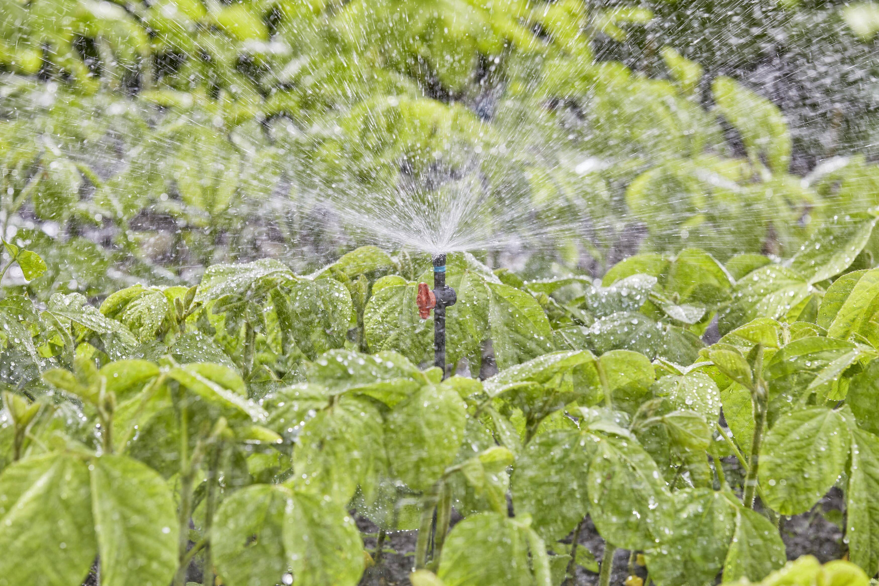 GARDENA Micro-Drip System 13322-20 Sprühdüse 13mm (1/2") Ø