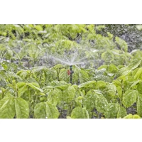 GARDENA Micro-Drip System Sprühdüse 13mm (1/2") Ø 13322-20 GARDENA Micro-Drip System Sprühdüse 13mm (1/2") Ø 13322-20
