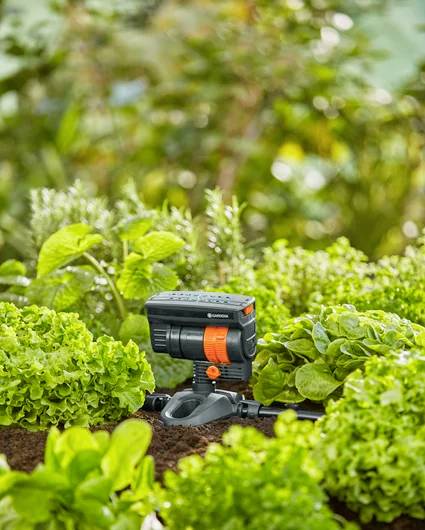 Ein Gartenbewässerungssystem ist inmitten üppiger, grüner Pflanzen platziert, was eine automatisierte Bewässerung in einem Gemüsegarten anzeigt.