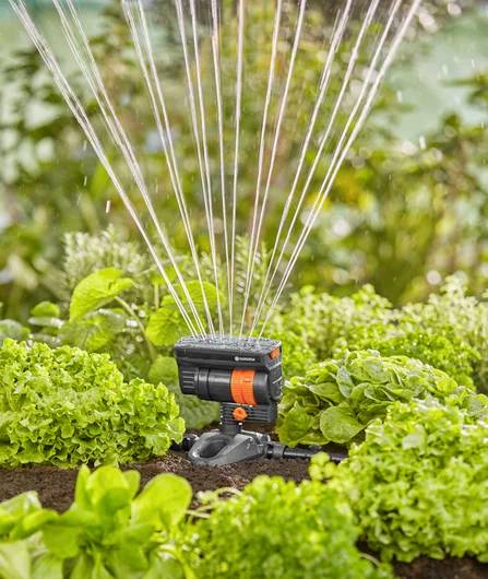 Eine Gartensprinkleranlage bewässert üppige, grüne Salat- und Spinatpflanzen, eingebettet in einen Garten mit verschwommener Grünfläche im Hintergrund.