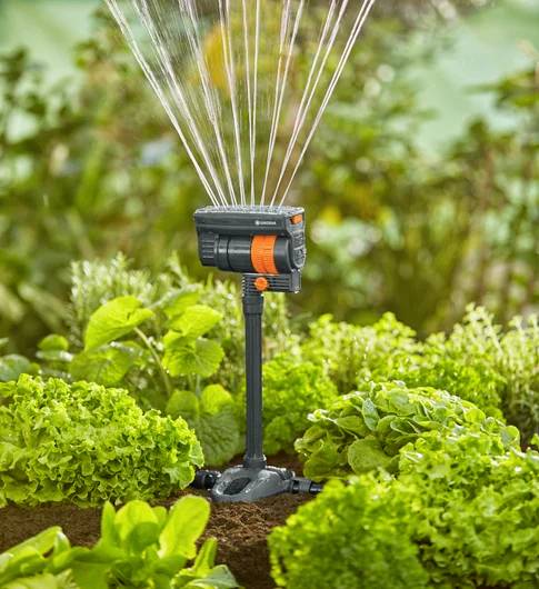 Eine Gartenbewässerungsanlage, die einen üppigen Gemüsegarten mit Salat und Kräutern unter natürlichem Sonnenlicht bewässert.