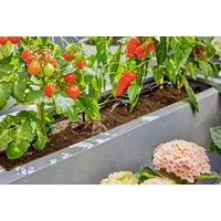 GARDENA Micro-Drip System Bewässerungs-Komplettset 13mm (1/2") Ø 13400-20 GARDENA Micro-Drip System Bewässerungs-Komplettset 13mm (1/2") Ø 13400-20