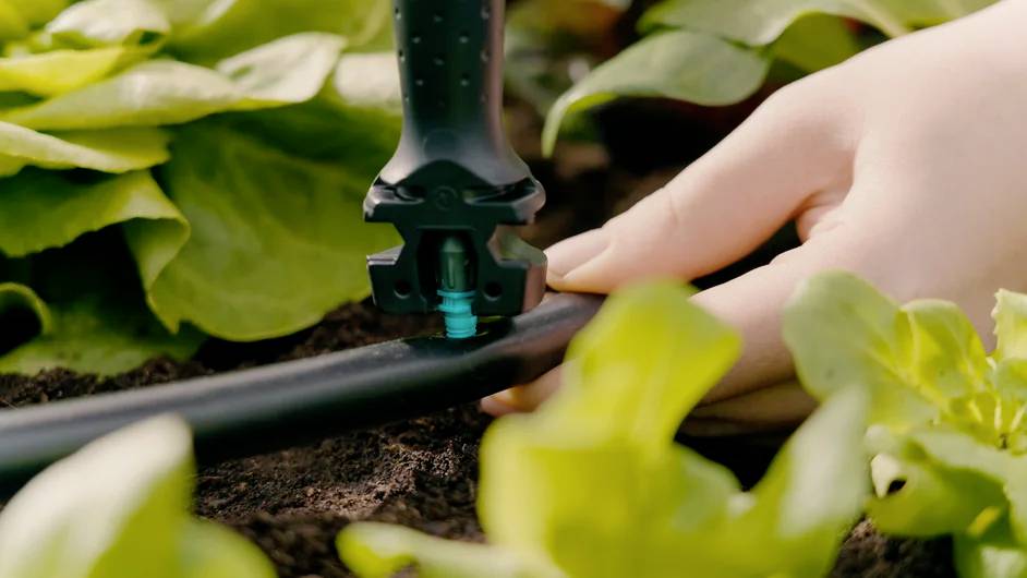 Eine Hand justiert eine Tropfbewässerungsdüse in einem Garten, umgeben von grünen Blättern.