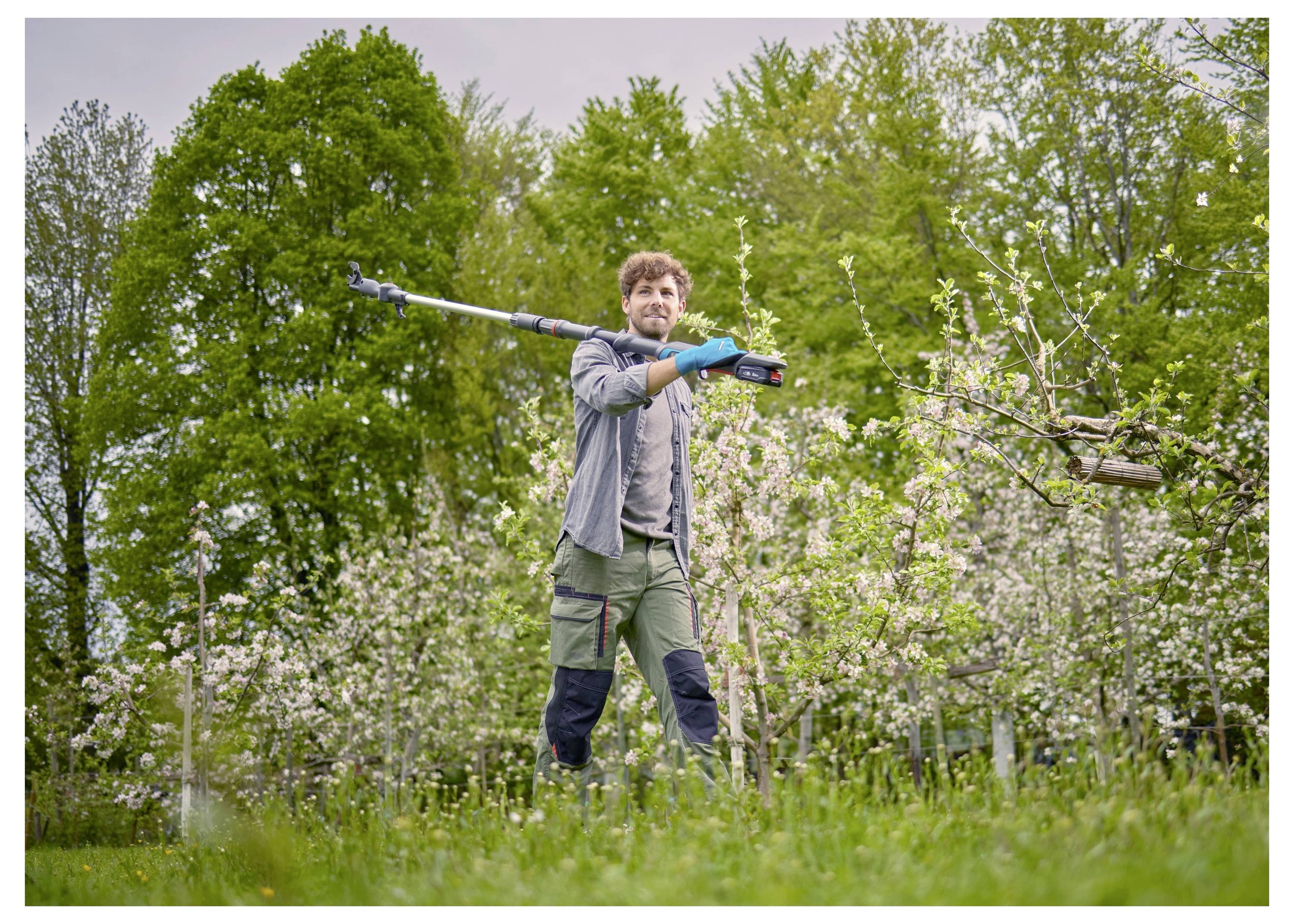 Eine Person beschneidet einen Baum in einem Obstgarten, umgeben von blühenden Bäumen, was auf eine Gärtnertätigkeit im Frühling hindeutet.