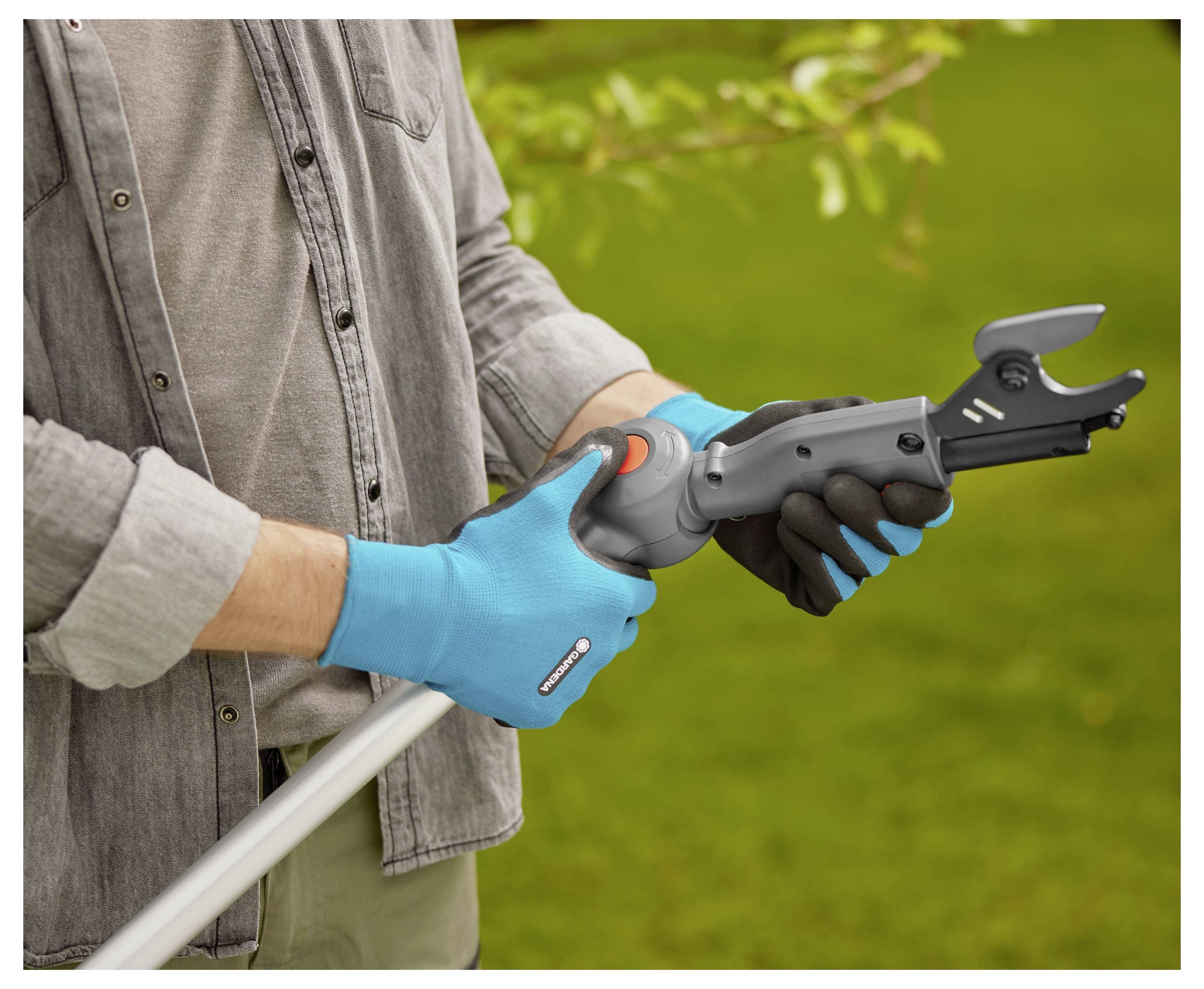 Eine Person mit blauen Handschuhen stellt ein Gartenwerkzeug mit langem Griff ein, das zum Schneiden von Bäumen verwendet wird, vor einem grünen Außenhintergrund.