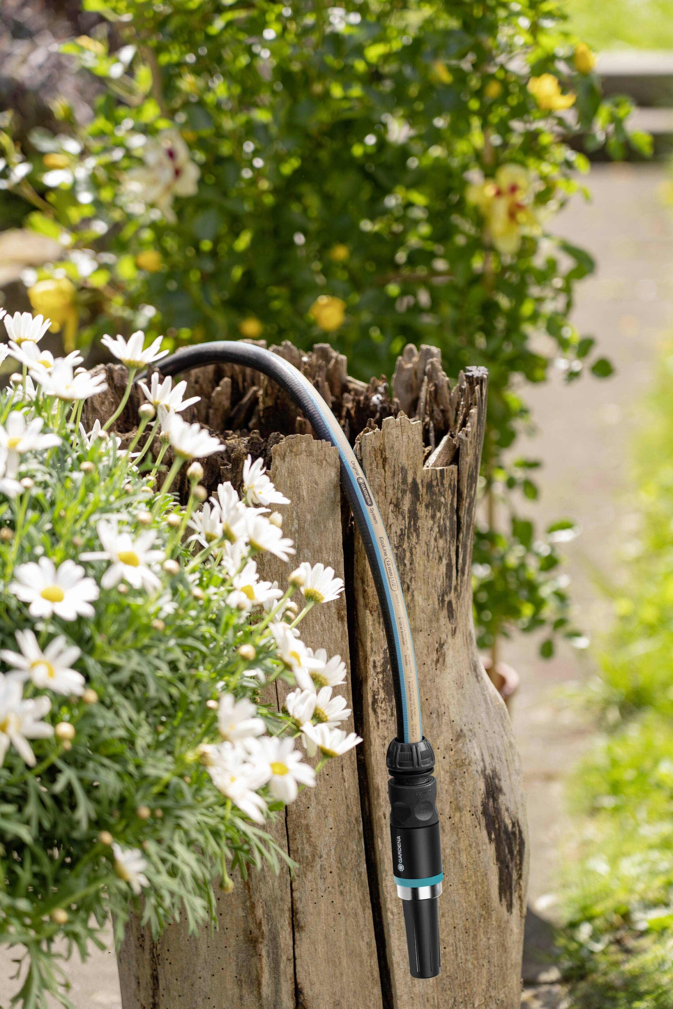 Gartenschlauch, der über einem Baumstumpf hängt, umgeben von blühenden weißen Blumen und grünem Laub im Sonnenlicht.
