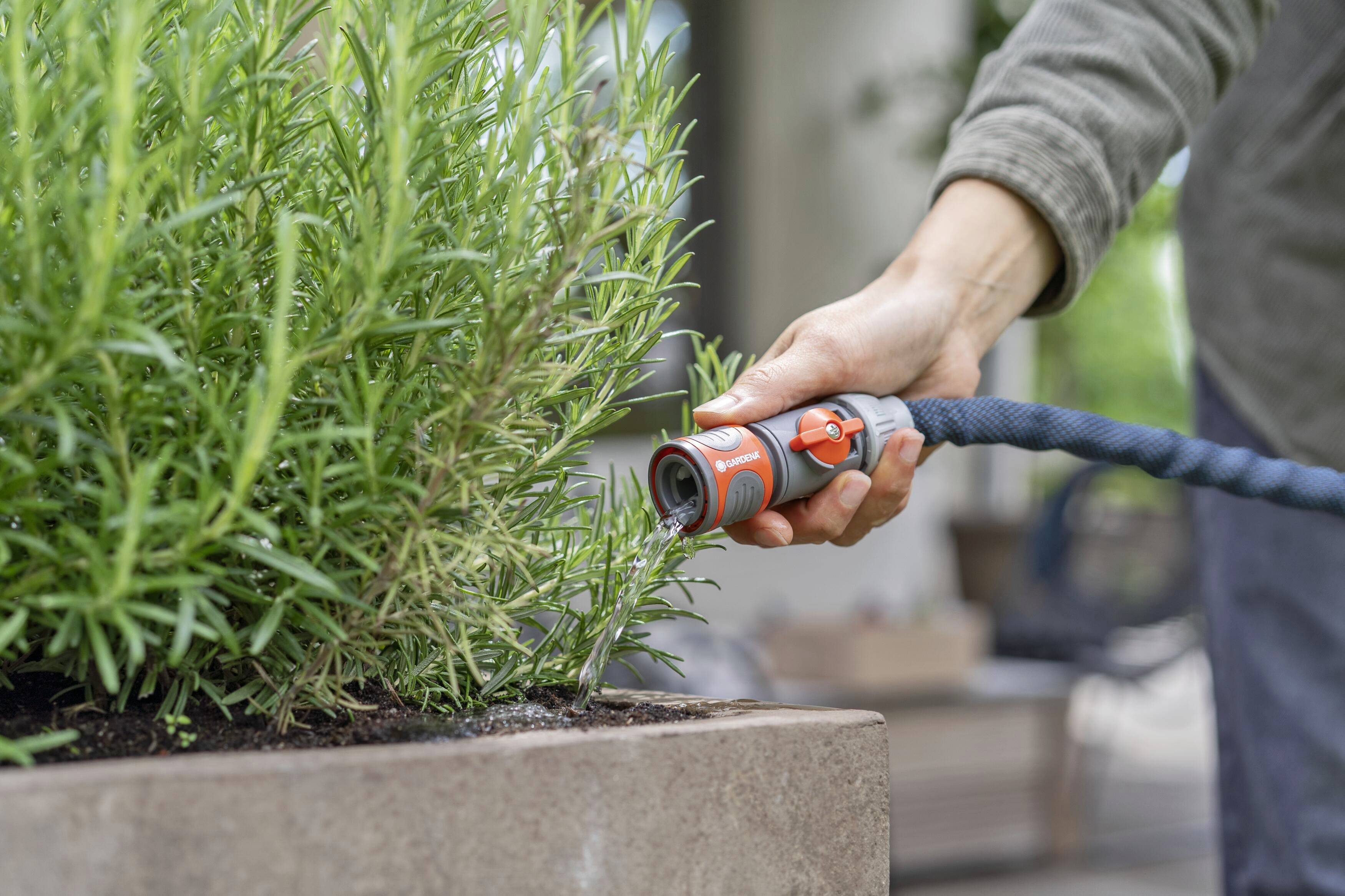 Eine Person gießt Pflanzen in einem rechteckigen Topf mit einem Gartenschlauch. Die Pflanze wirkt grün und buschig.