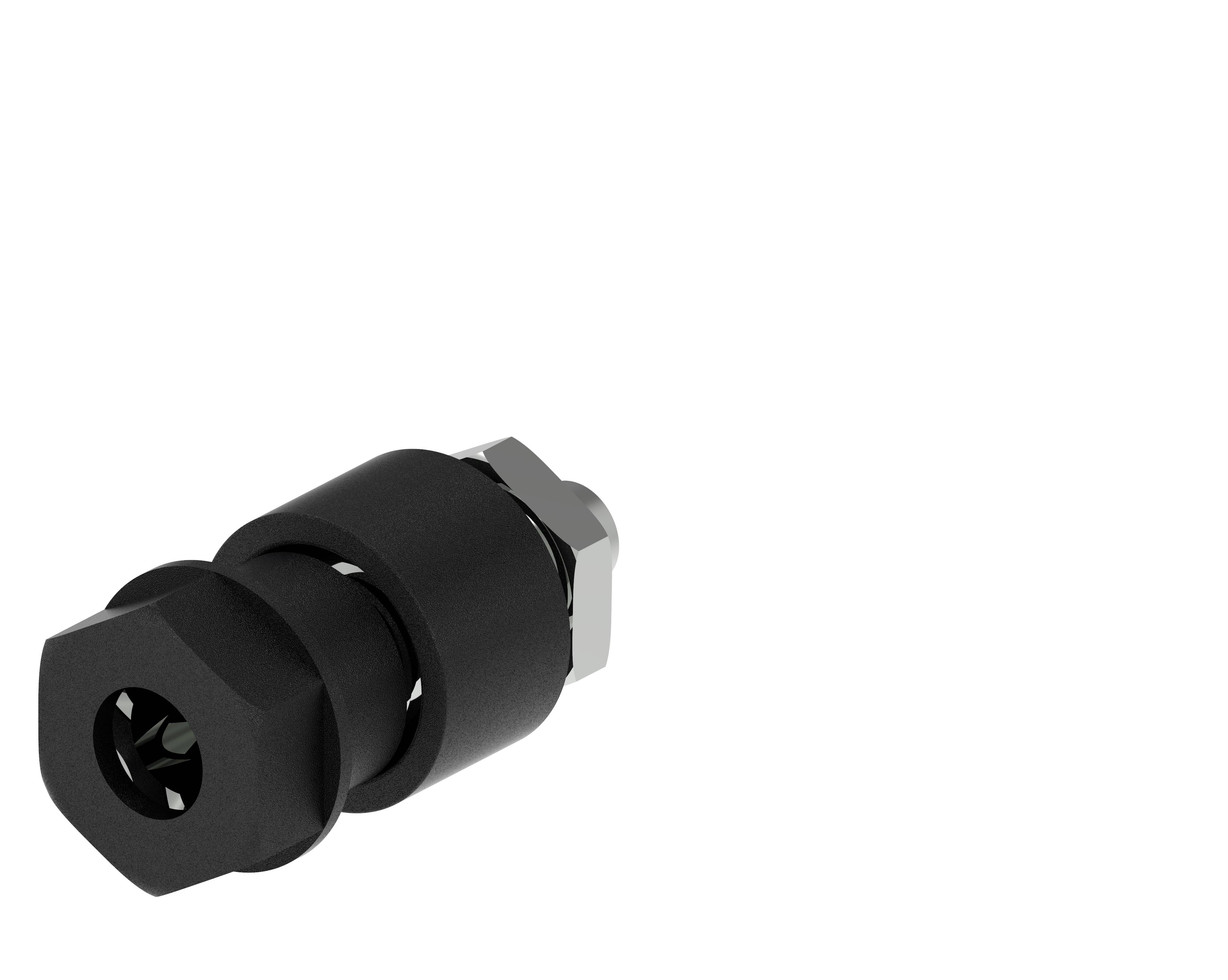 Schwarze Schraube mit sechseckigem Kopf, kombiniert mit einer runden Mutter, auf weißem Hintergrund. Geeignet für Maschinenmontage.