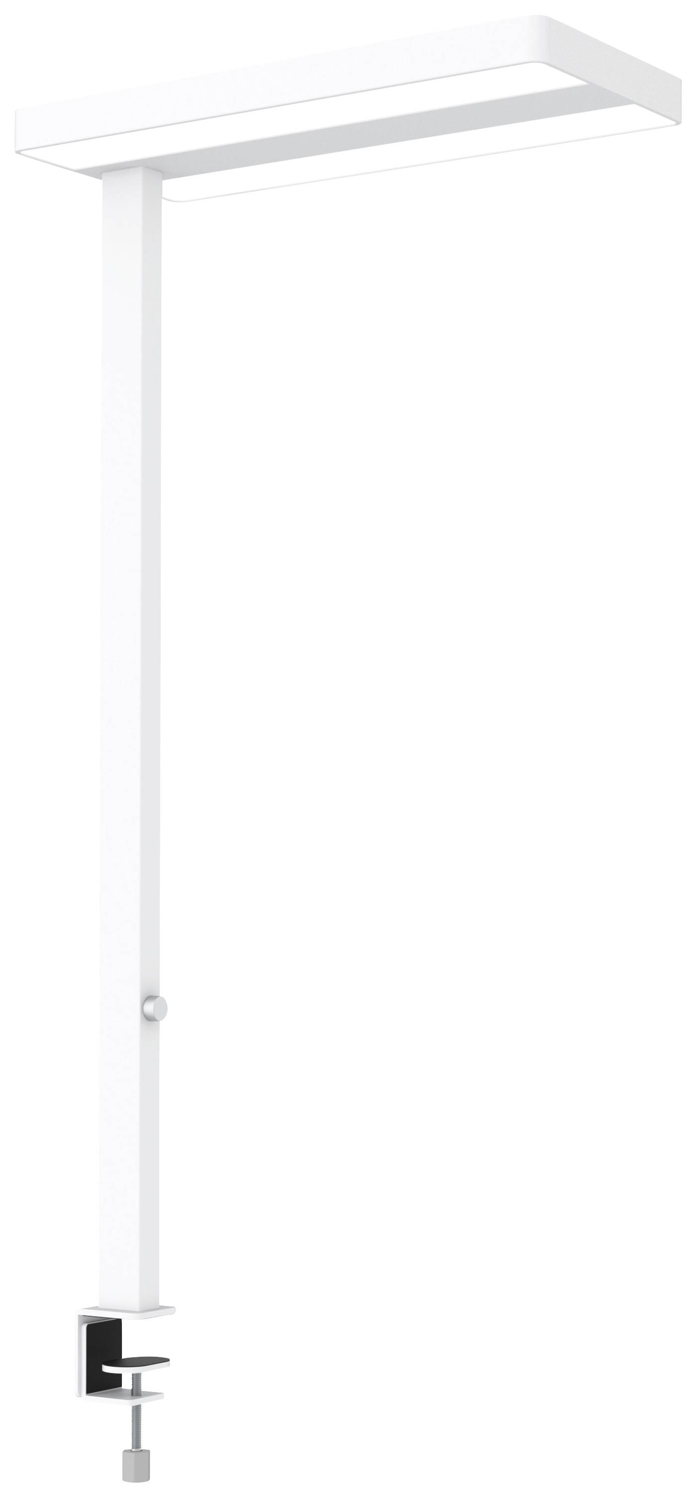 Maul MAULjaval 8258302 LED-Tischlampe LED Lichtquelle durch Elektrofachkraft austauschbar 64W Weiß