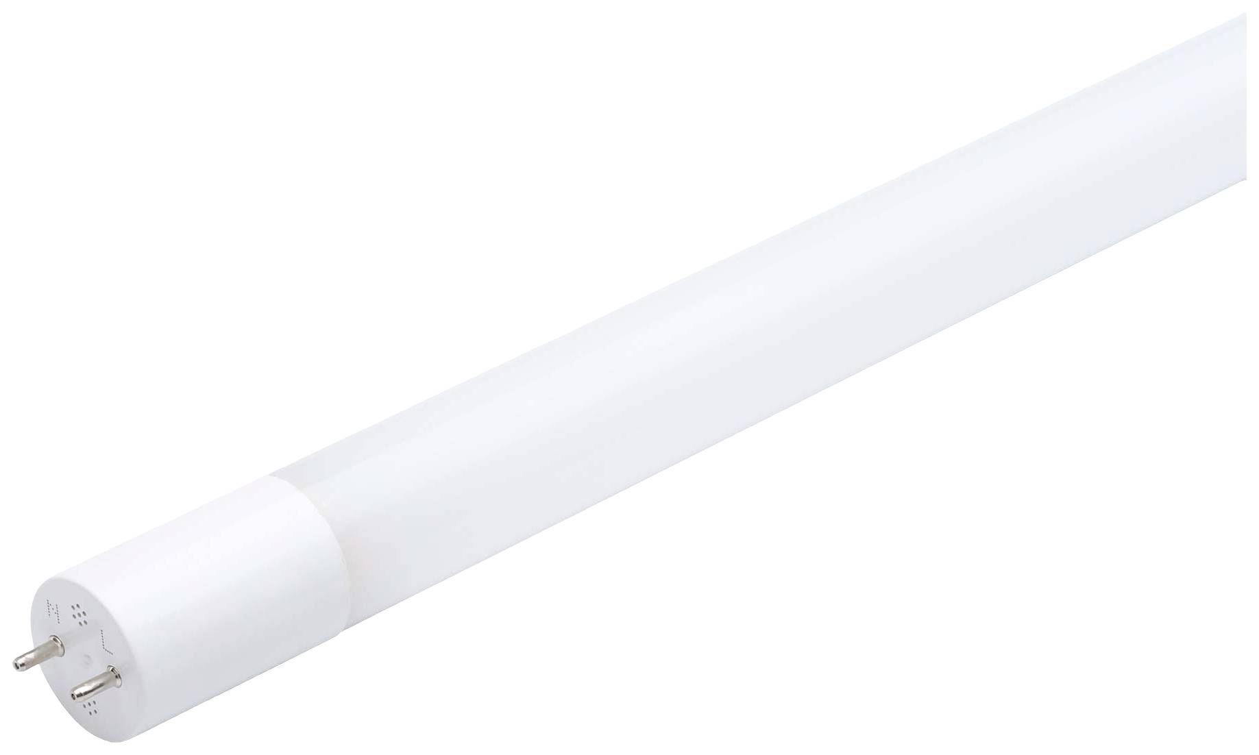Weiße LED-Röhrenlampe, zylindrisch, mit zwei Metallstiften an einem Ende, auf weißem Hintergrund.