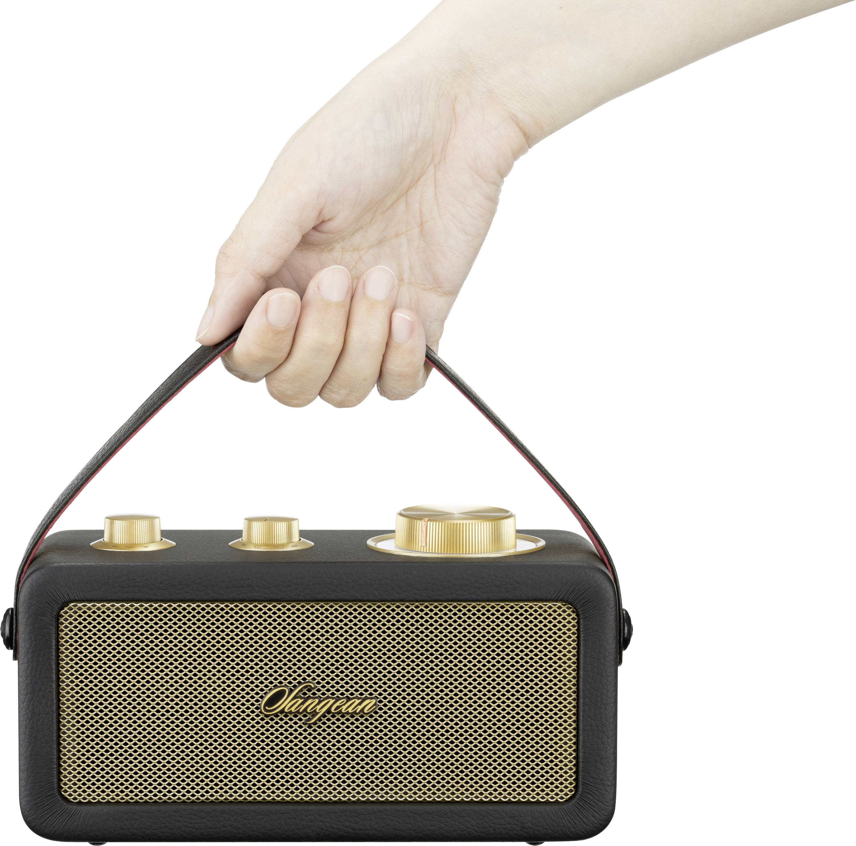 Sangean RA-101 Akku-Radio FM Bluetooth®, AUX wiederaufladbar Schwarz, Gold
