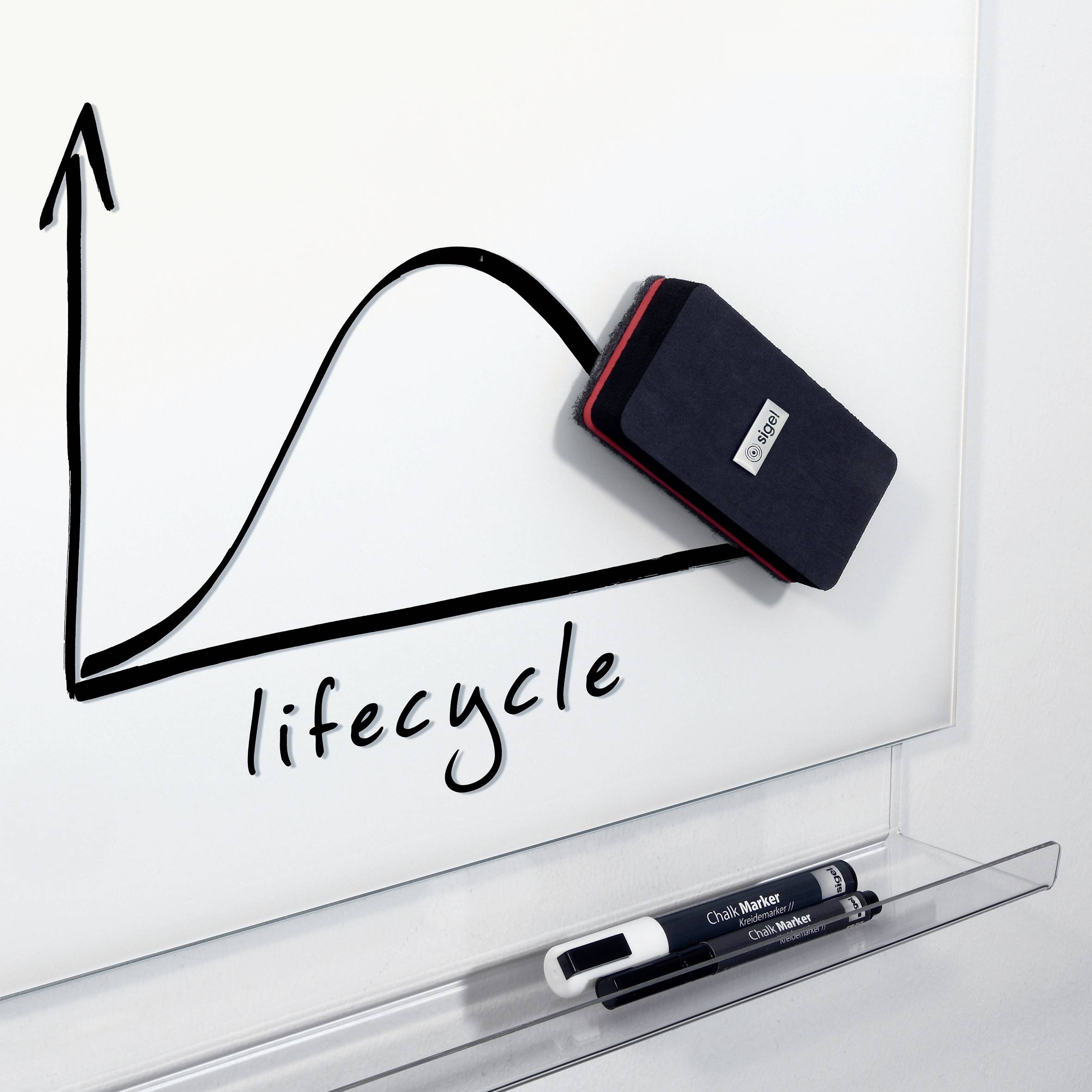 Ein Schwamm löscht einen Abschnitt einer Zeichnung auf einem Whiteboard. Die Zeichnung zeigt einen Lebenszyklus mit einem Kurvendiagramm.