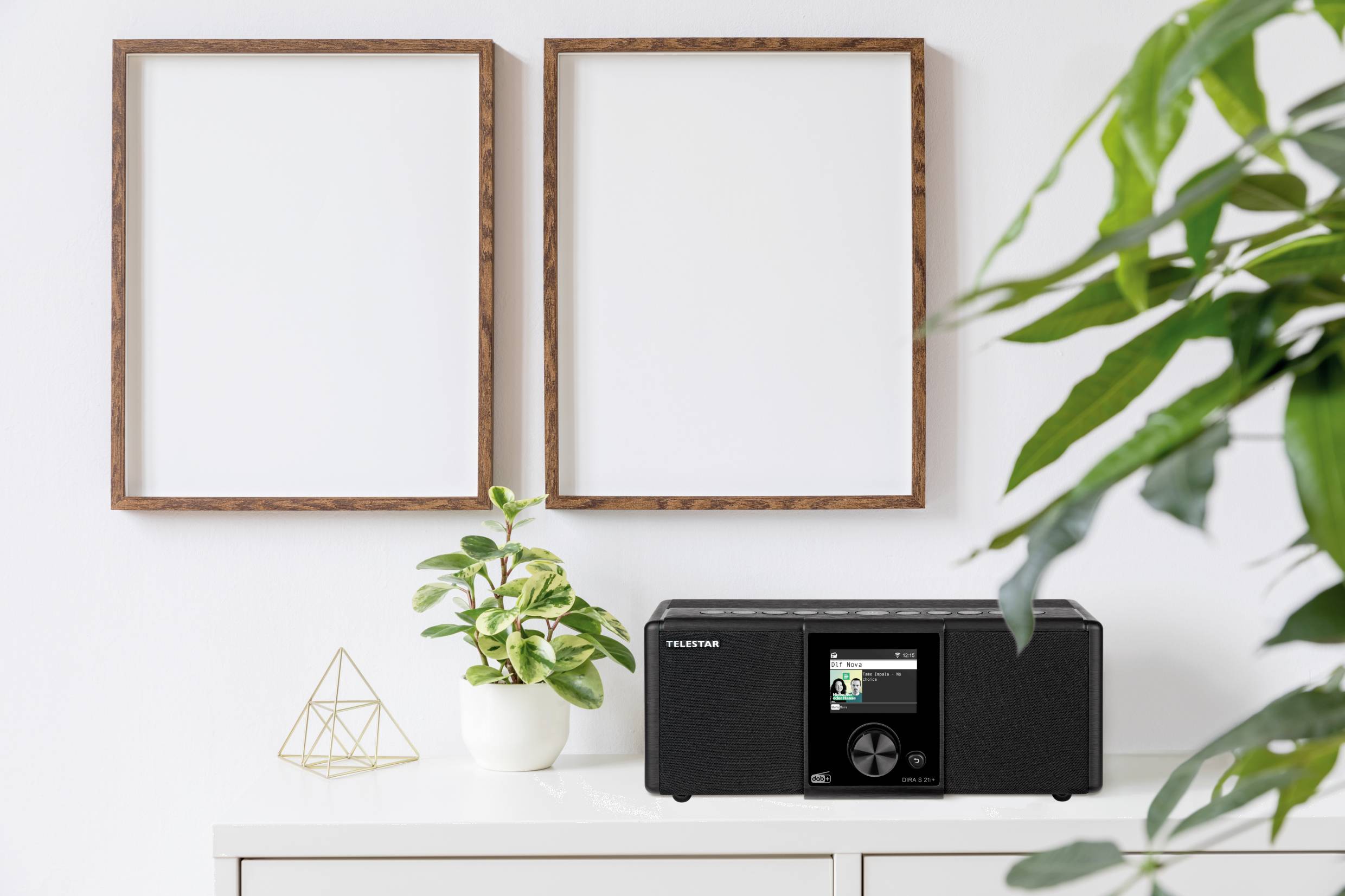 Telestar DIRA S 21i + Internet Tischradio Internet, DAB+, UKW AUX, Bluetooth®, Radiorecorder, USB, WLAN, Internetradio Aufnahmefunktion, Inkl. Fernb