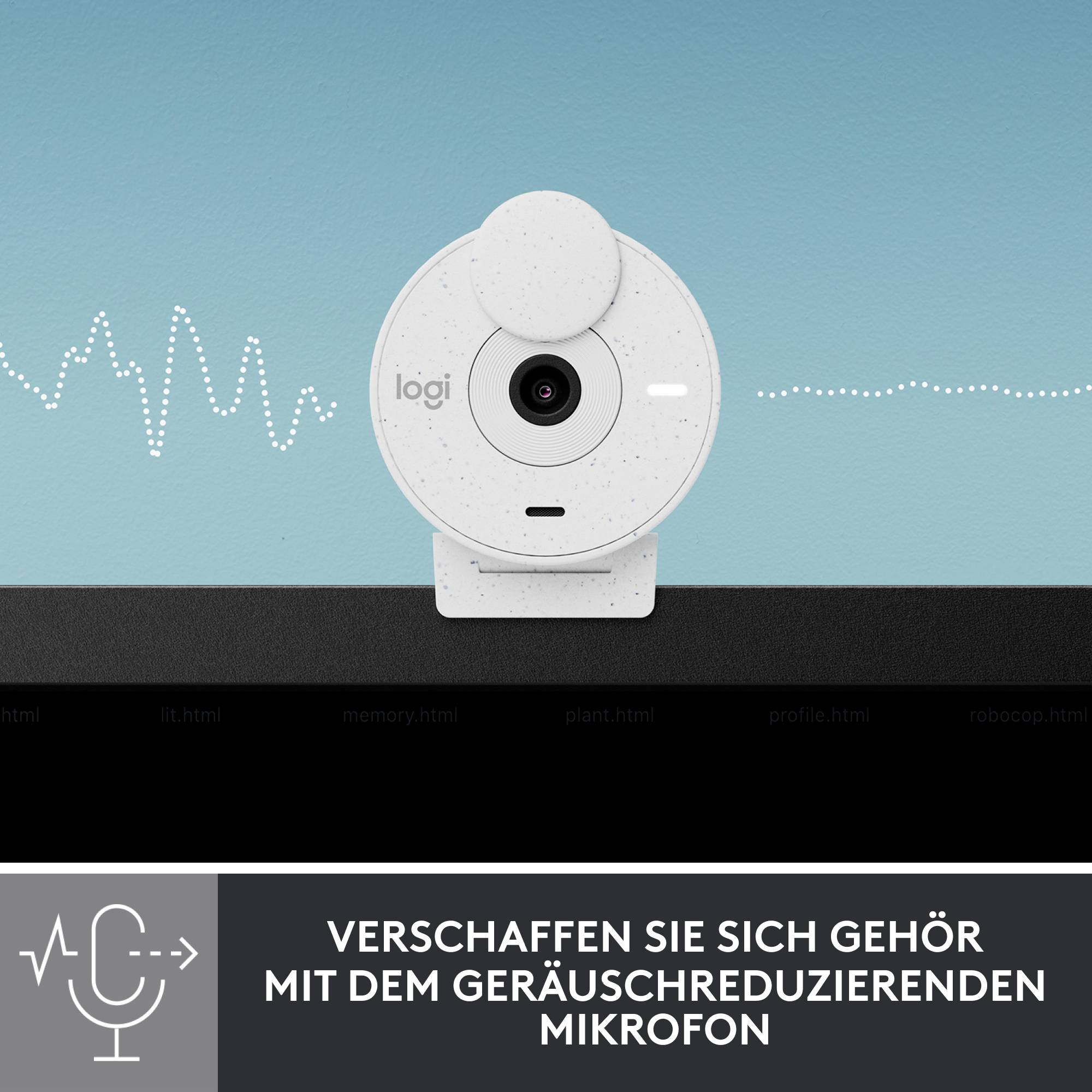 Logitech BRIO 300 Full HD-Webcam 1920 x 1080 Pixel Klemm-Halterung