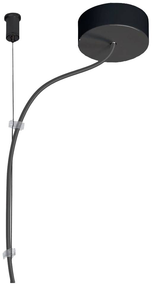 Schwarze, runde Hängelampe mit gebogenem Kabel und Deckenmontage, modernes Design.