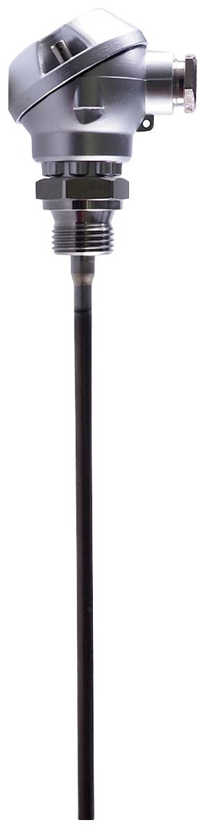 Jumo Widerstandsthermometer 00055775