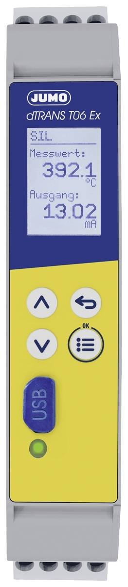 Digitaler Temperaturtransmitter mit Display, zeigt 'Messwert: 392,1', 'Ausgang: 13,02'. Bedientasten unter dem Display.