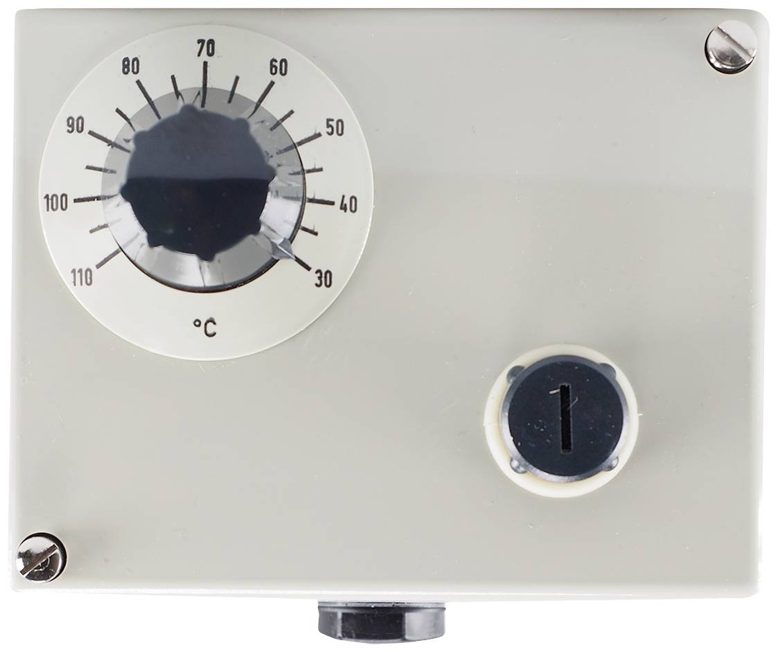 Jumo 60000195 Doppelthermostat