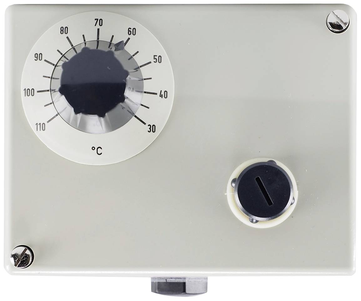Jumo 60000196 Doppelthermostat