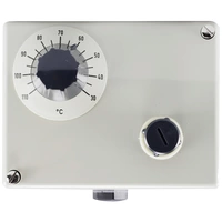 Jumo 60000196 Doppelthermostat Jumo 60000196 Doppelthermostat